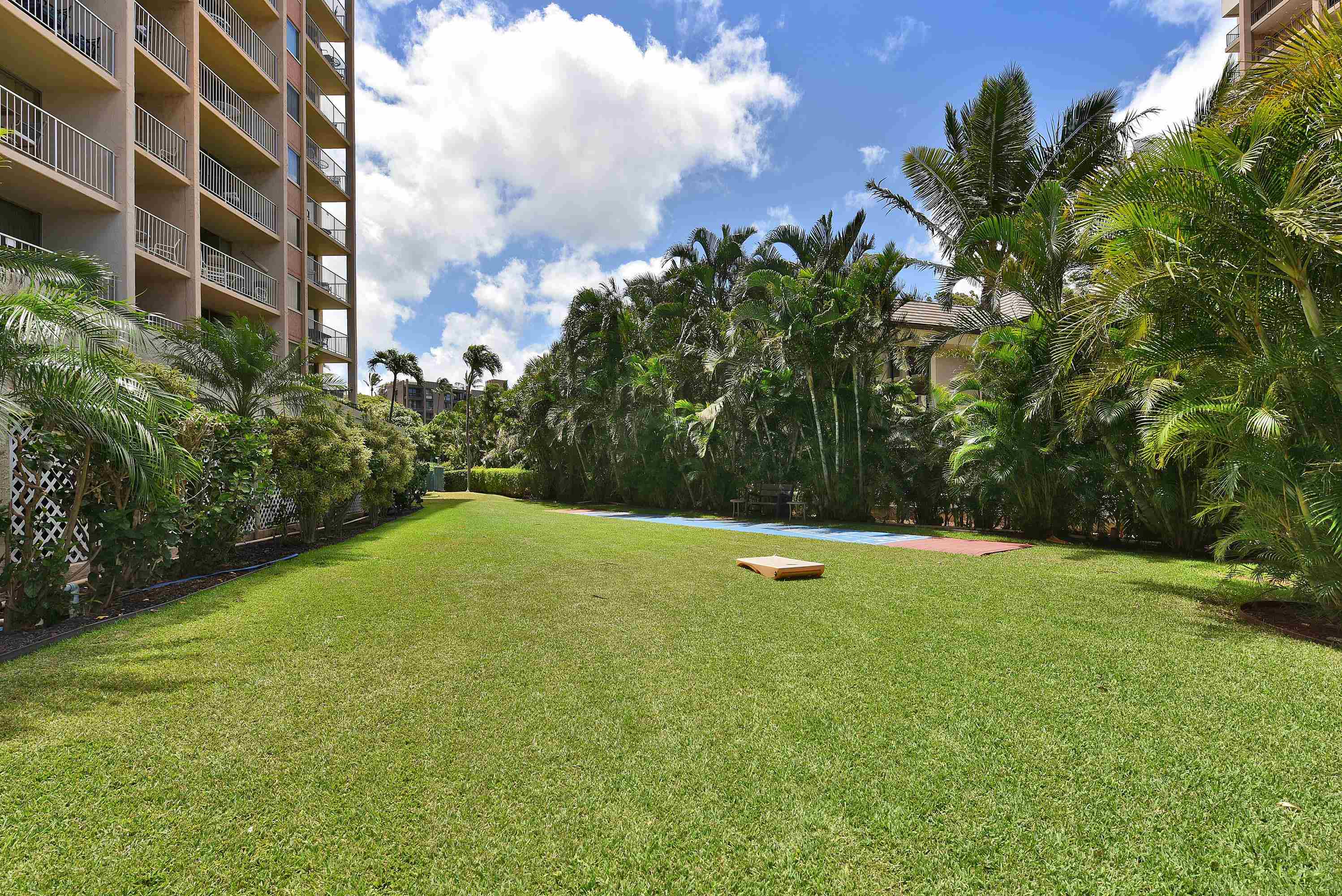 Royal Kahana condo # 618, Lahaina, Hawaii - photo 38 of 50