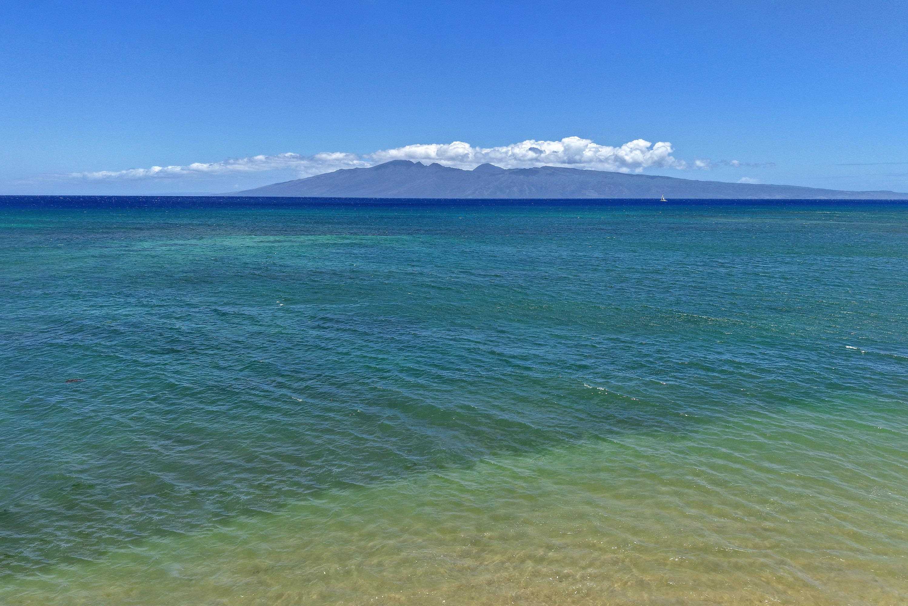 Royal Kahana condo # 618, Lahaina, Hawaii - photo 48 of 50
