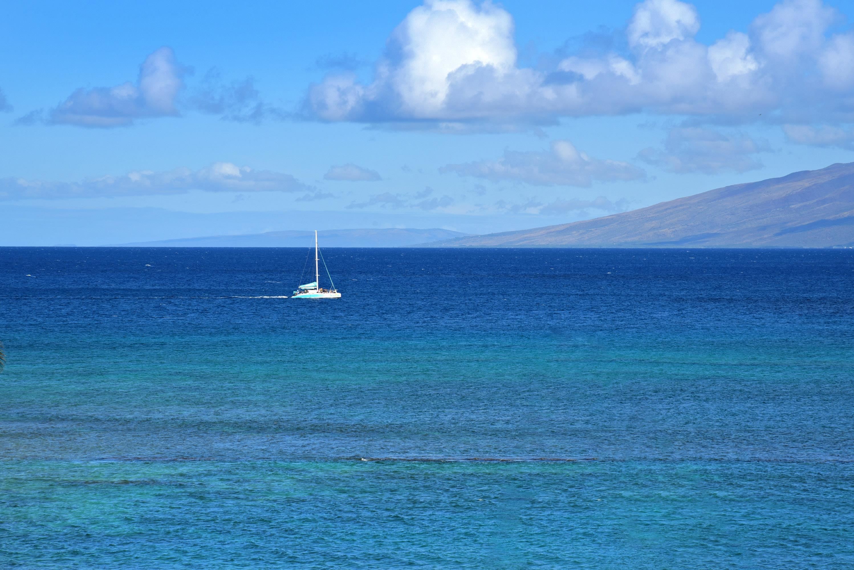 Royal Kahana condo # 619, Lahaina, Hawaii - photo 5 of 36