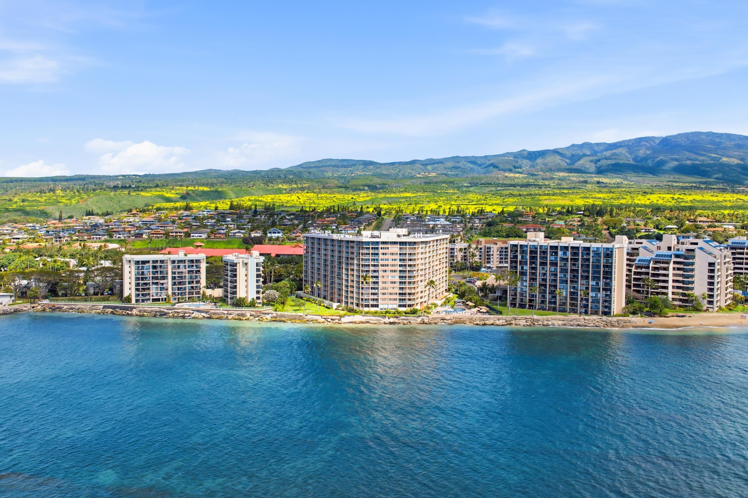 Royal Kahana condo # 620, Lahaina, Hawaii - photo 25 of 25