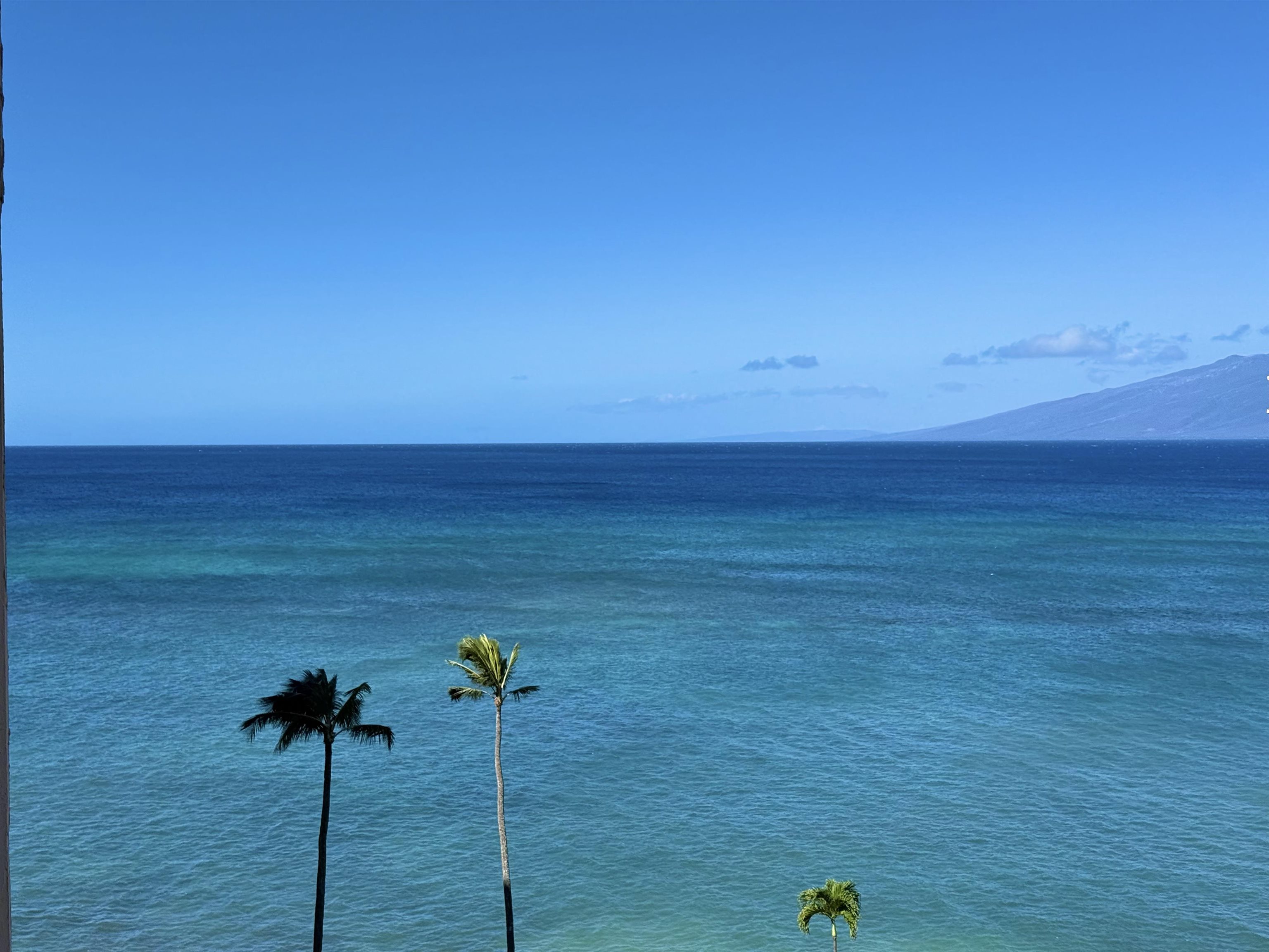 Royal Kahana condo # 801, Lahaina, Hawaii - photo 15 of 24