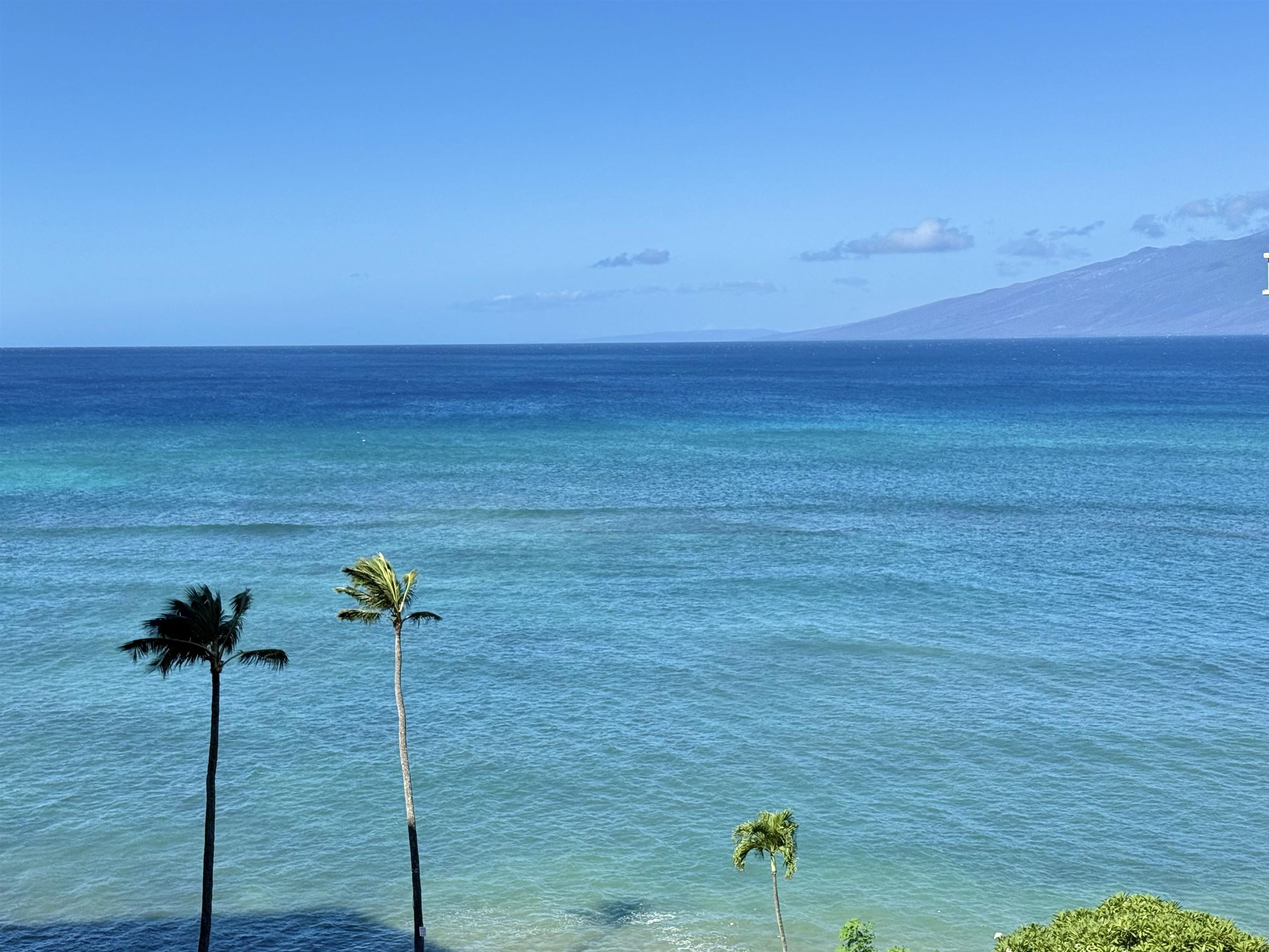 Royal Kahana condo # 801, Lahaina, Hawaii - photo 16 of 24