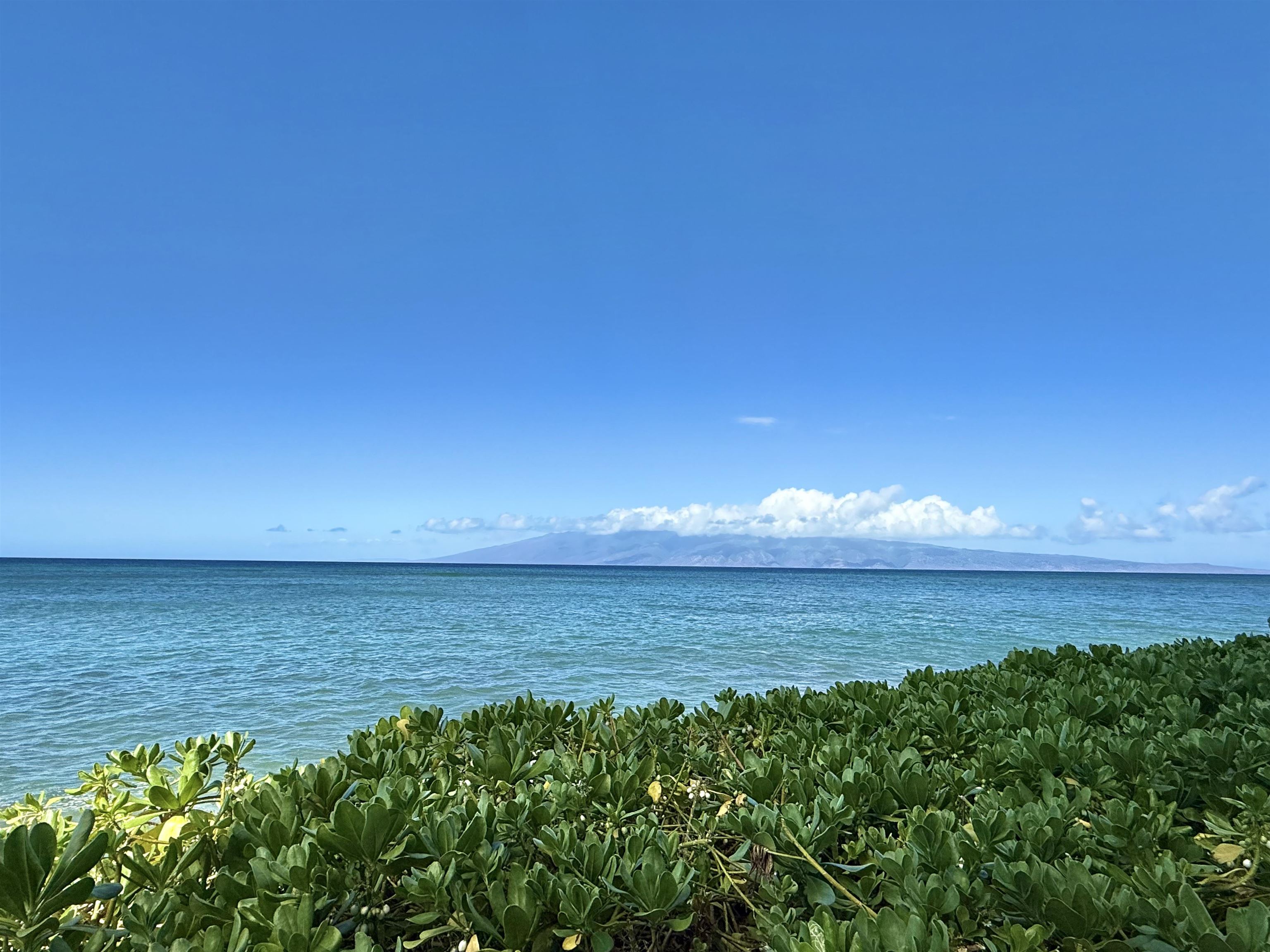 Royal Kahana condo # 801, Lahaina, Hawaii - photo 23 of 24