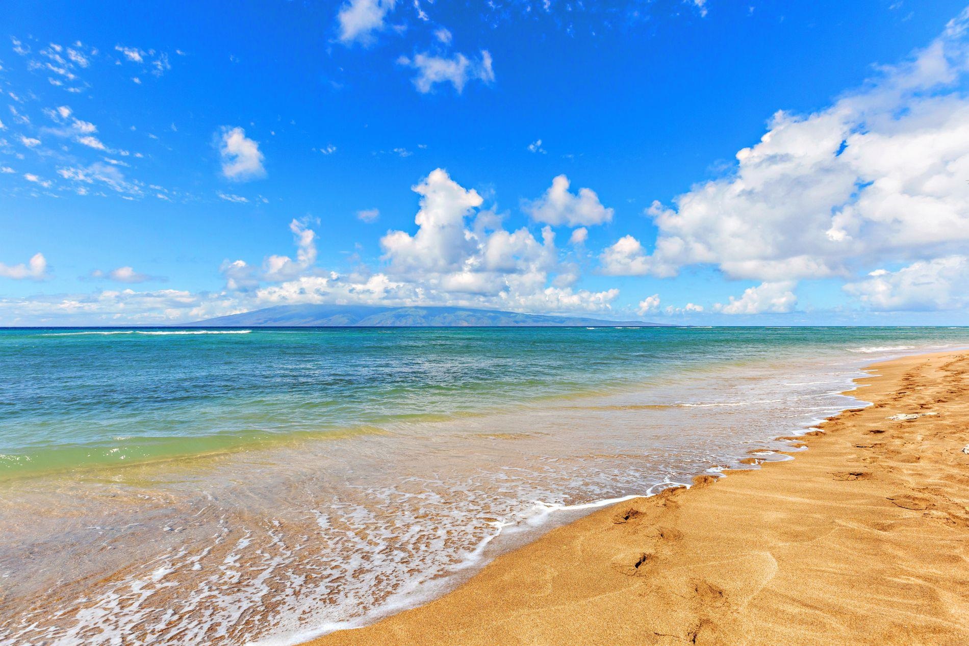 Royal Kahana condo # 802, Lahaina, Hawaii - photo 34 of 39