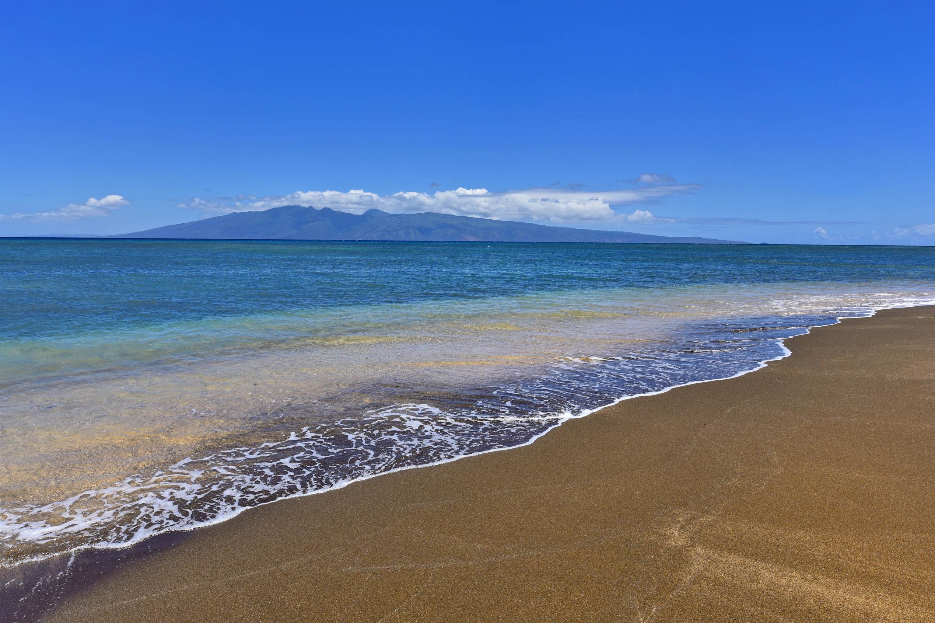 Royal Kahana condo # 910, Lahaina, Hawaii - photo 34 of 41