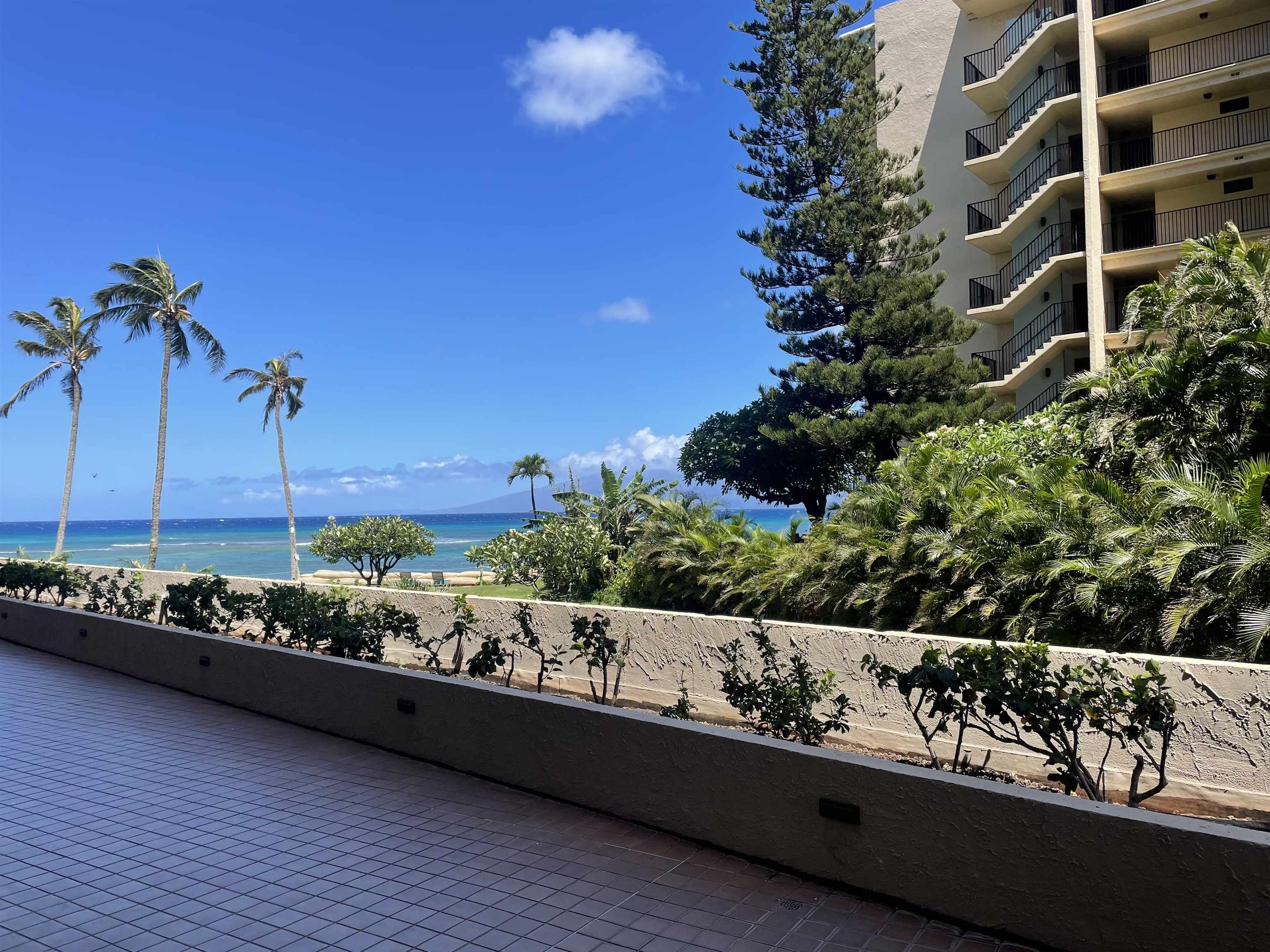 Royal Kahana condo # 103, Lahaina, Hawaii - photo 2 of 18