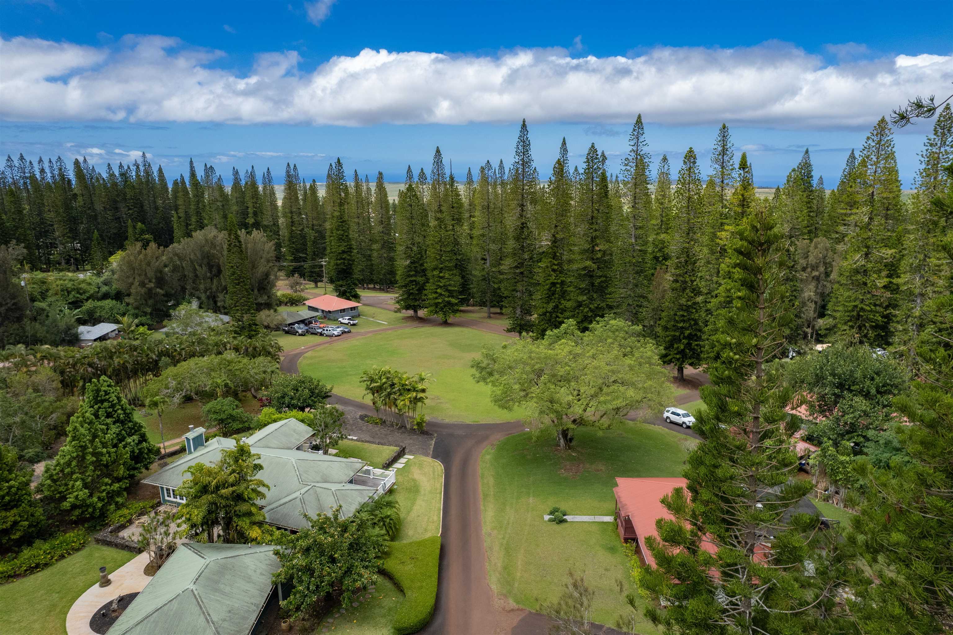 437  Hau Dr , Lanai home - photo 11 of 46