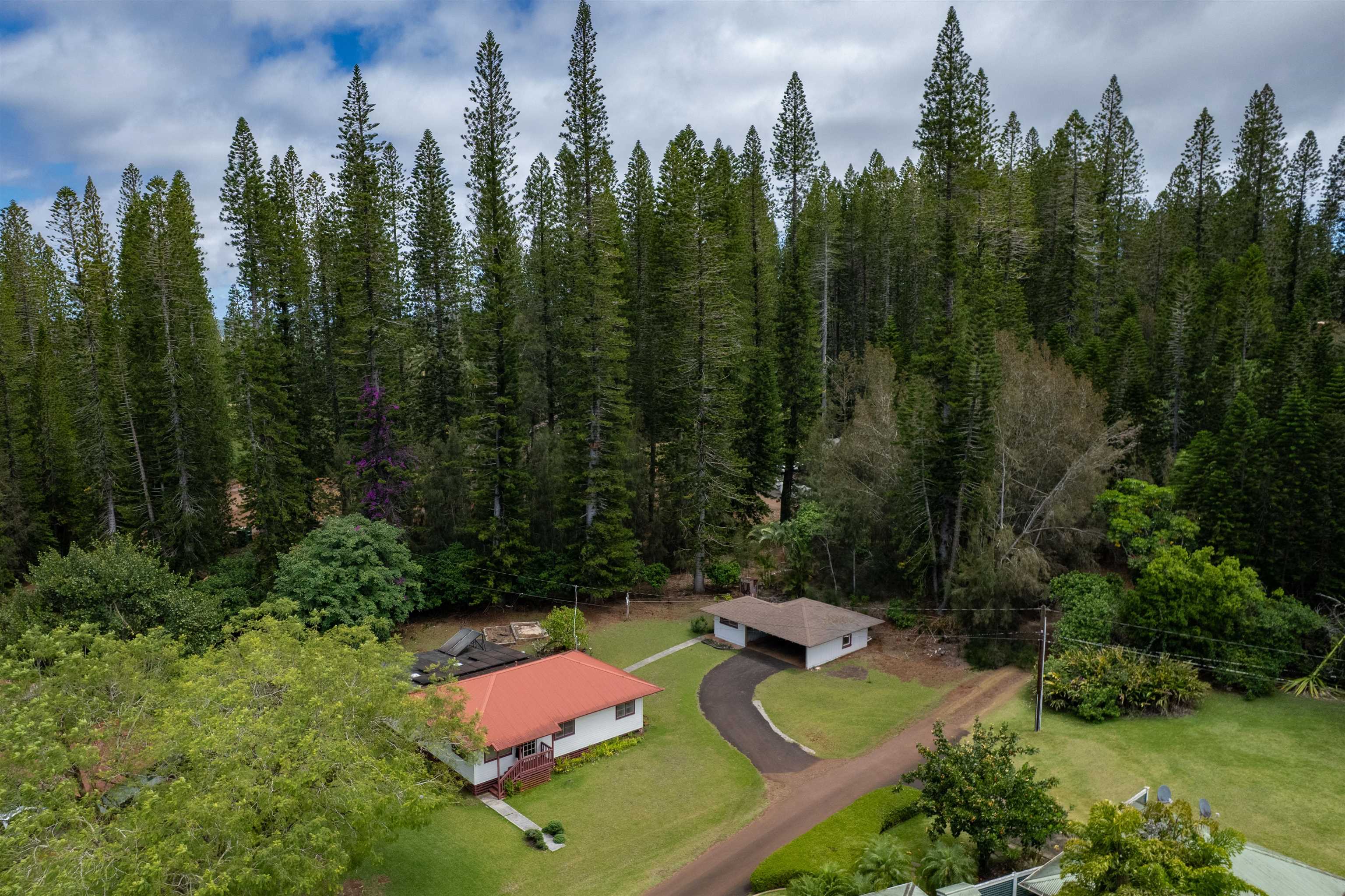 437  Hau Dr , Lanai home - photo 12 of 46