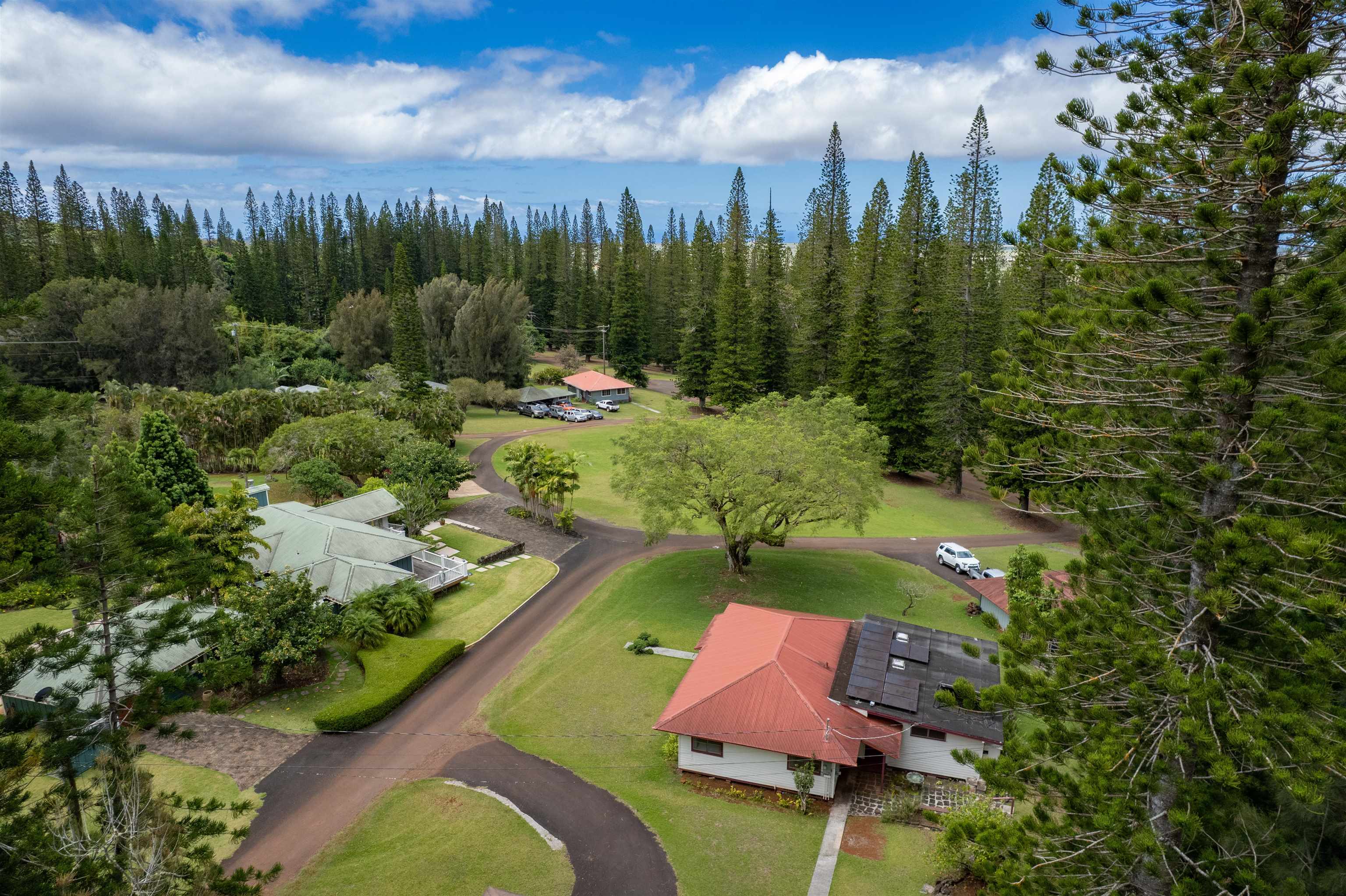 437  Hau Dr , Lanai home - photo 3 of 46
