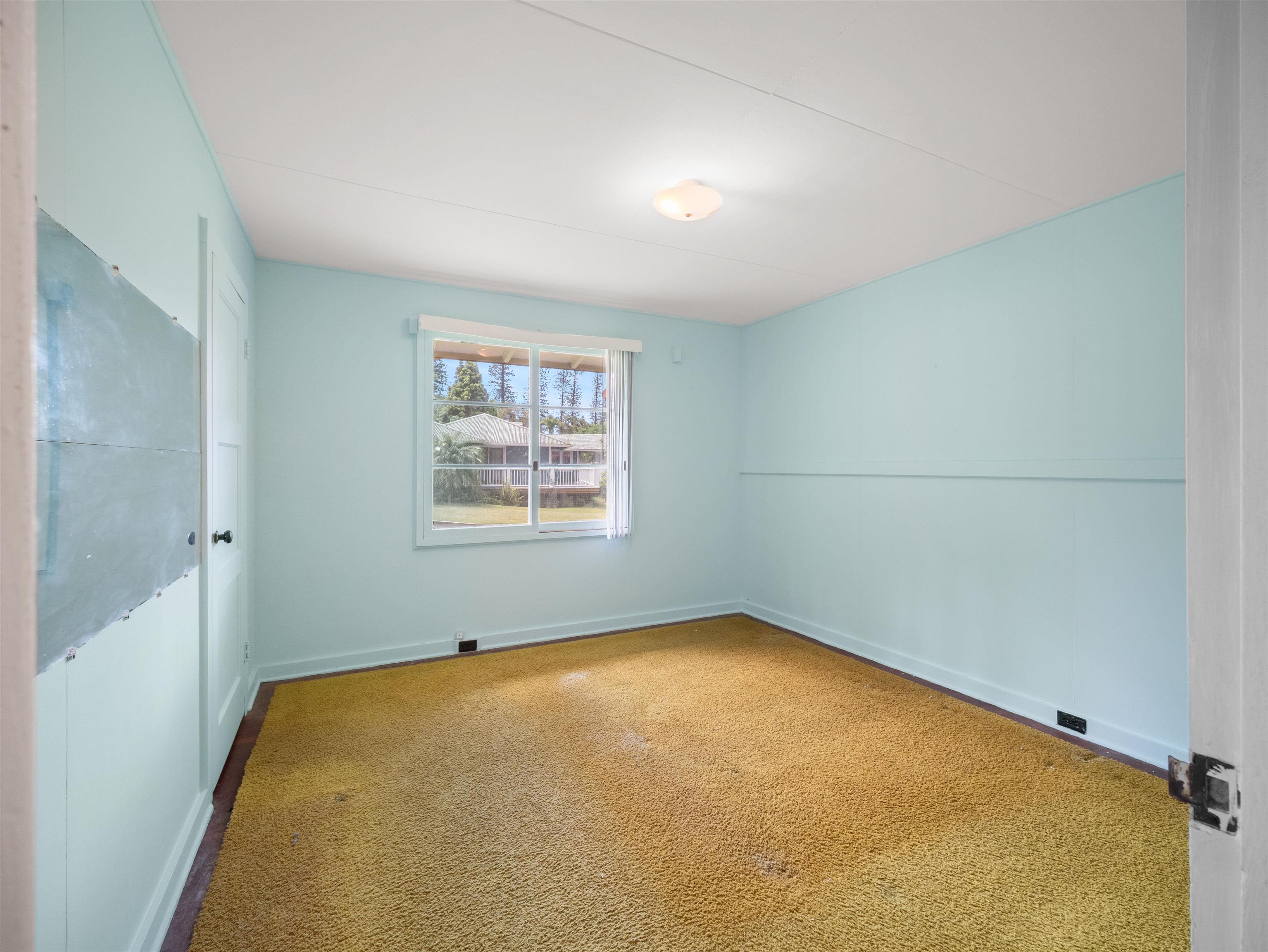 437  Hau Dr , Lanai home - photo 31 of 46