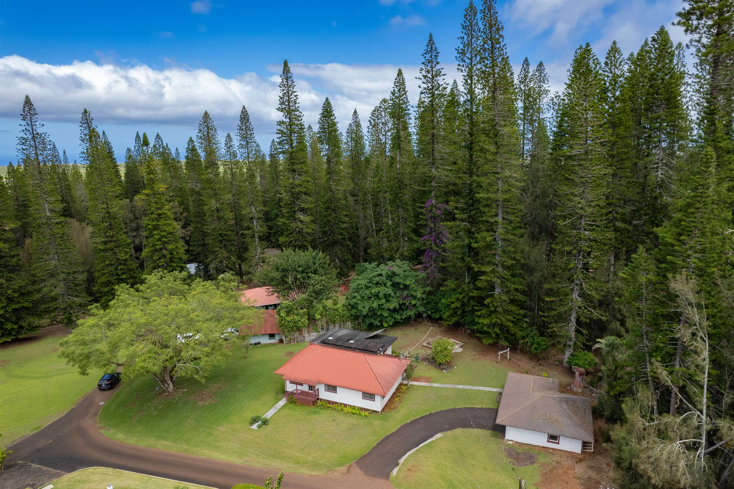 437  Hau Dr , Lanai home - photo 5 of 46