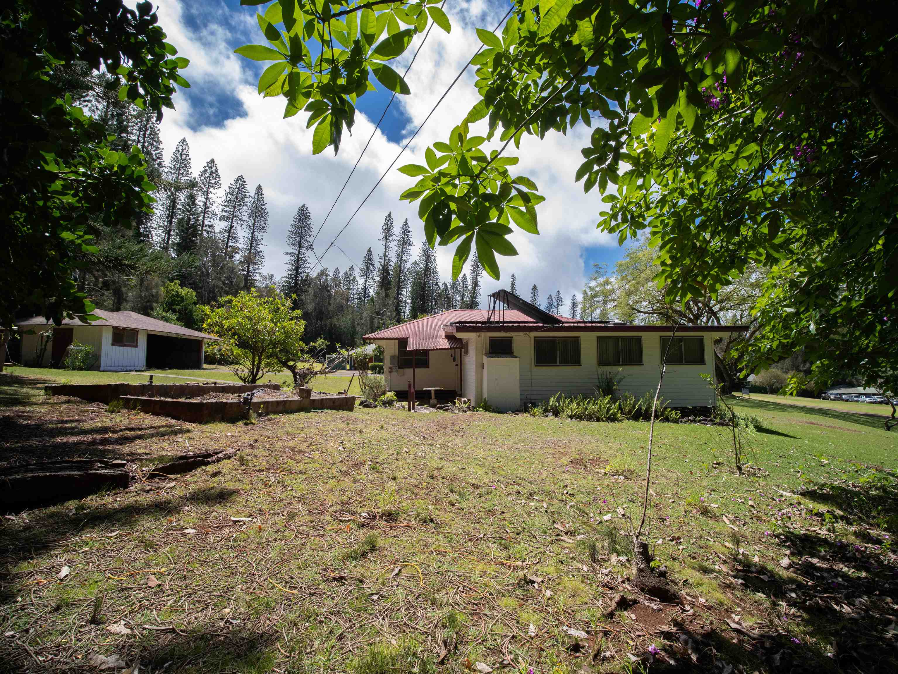 437  Hau Dr , Lanai home - photo 41 of 46