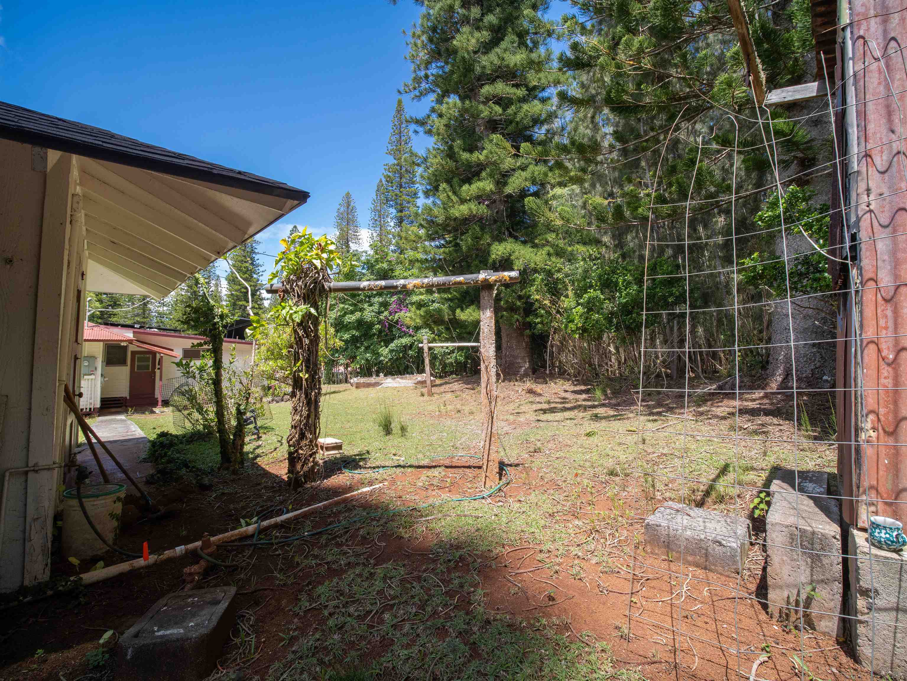 437  Hau Dr , Lanai home - photo 46 of 46