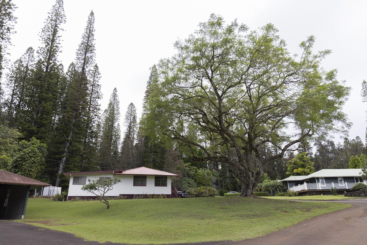 437  Hau Dr , Lanai home - photo 8 of 29