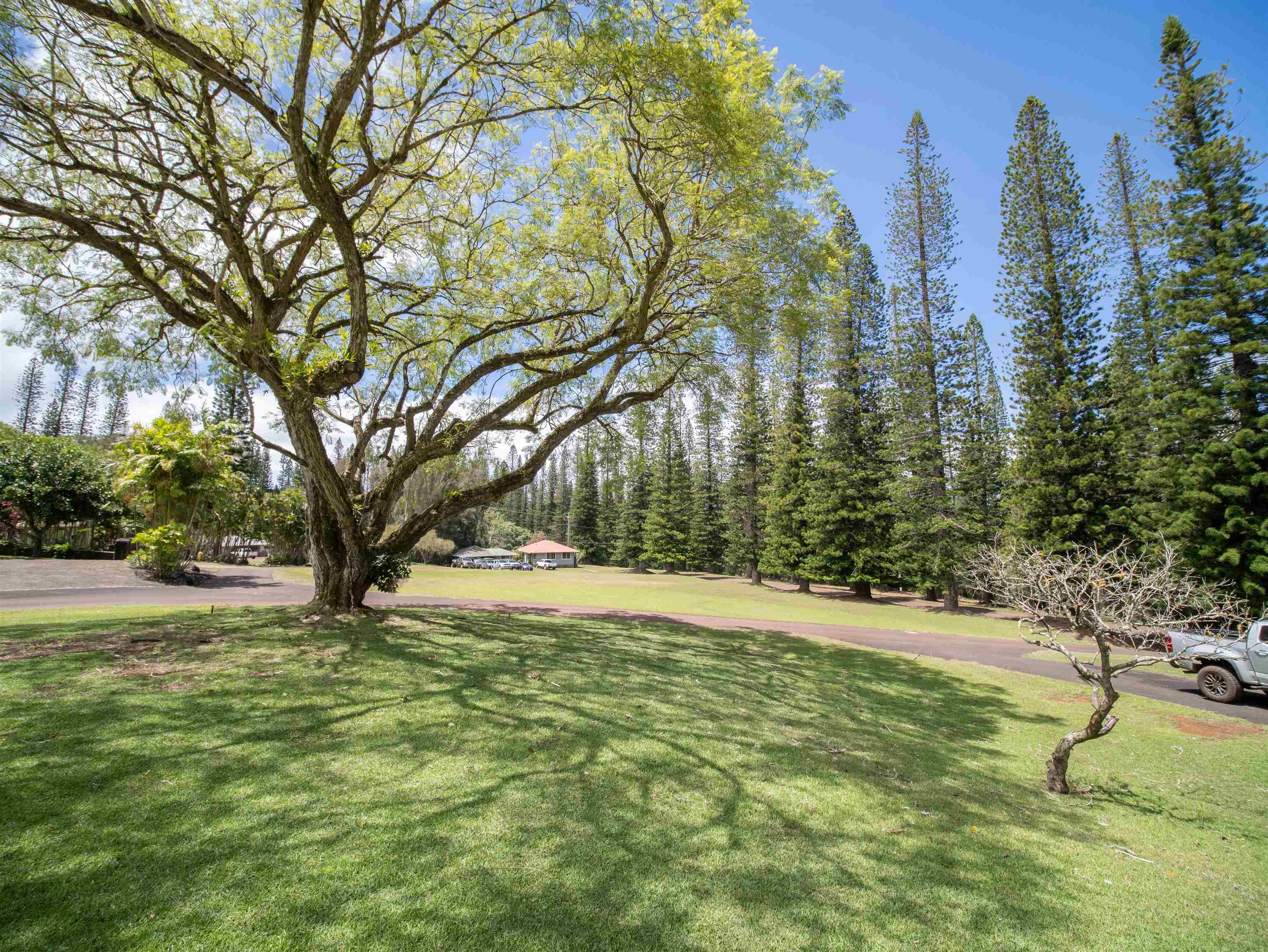 437  Hau Dr , Lanai home - photo 8 of 46
