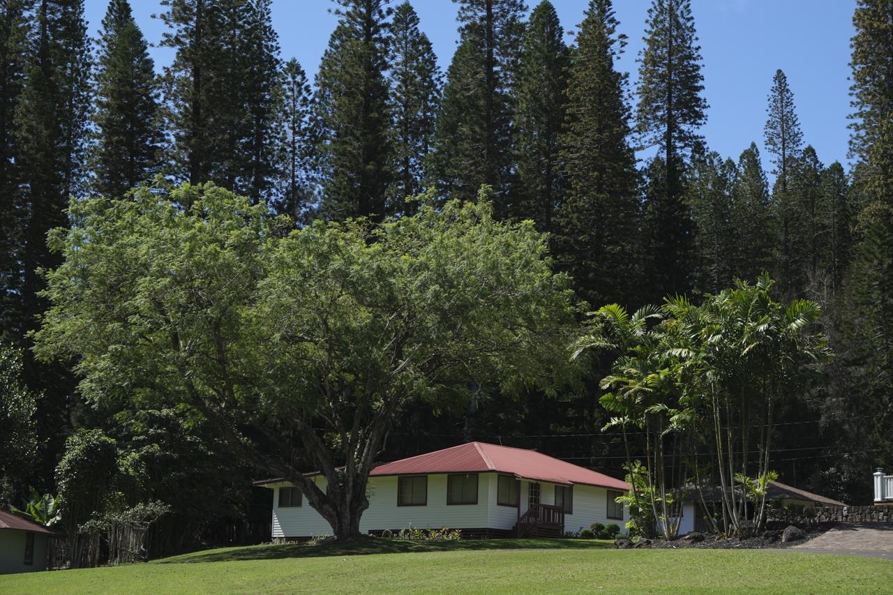 437  Hau Dr , Lanai home - photo 9 of 29