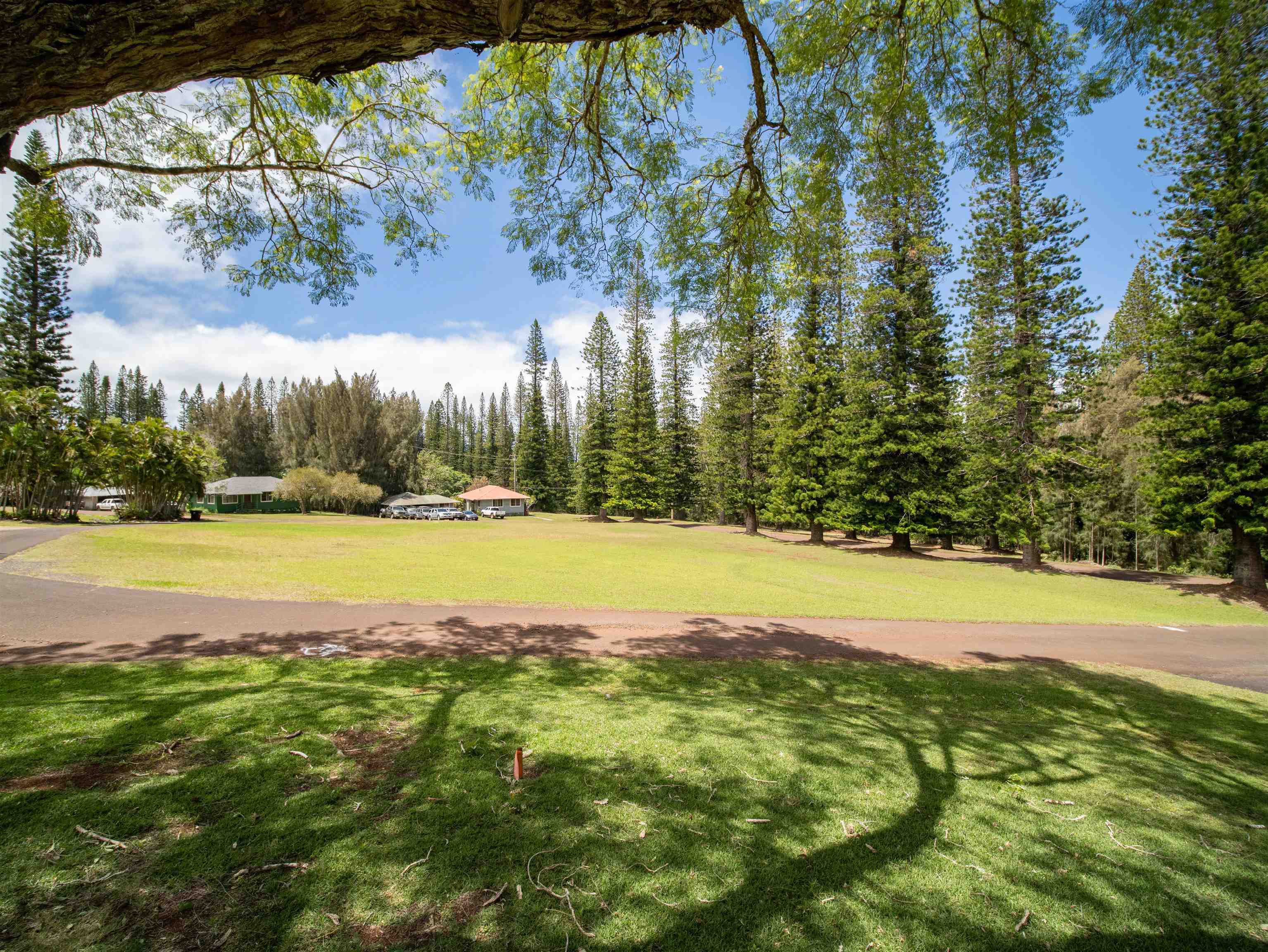 437  Hau Dr , Lanai home - photo 9 of 46