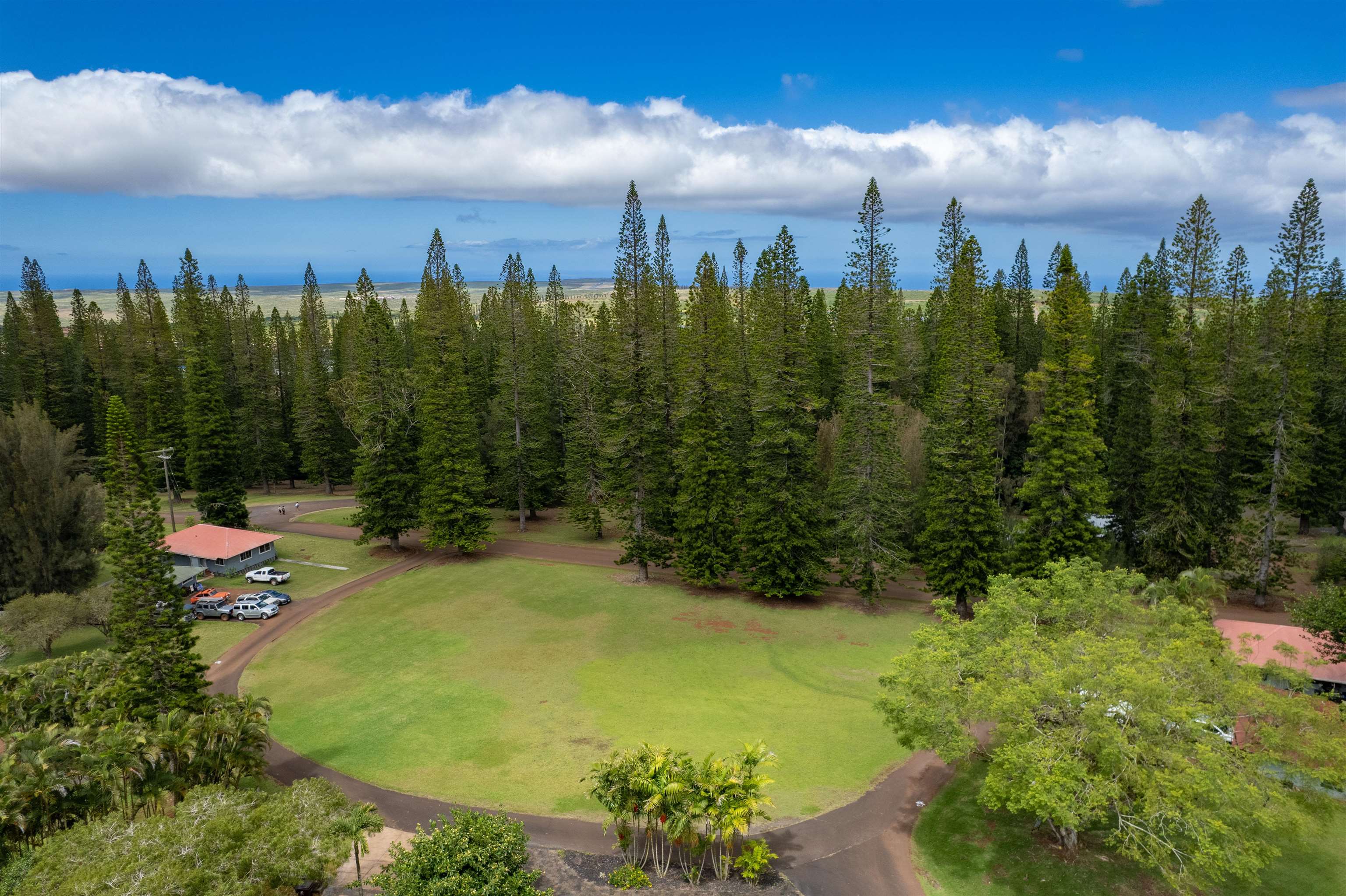 437  Hau Dr , Lanai home - photo 10 of 46