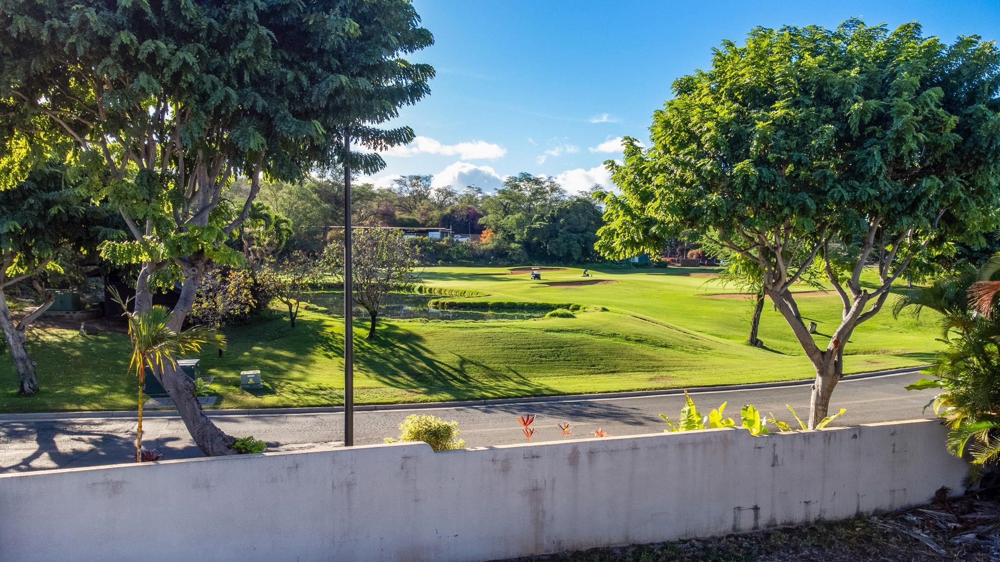 4378 Waiola St Lot 1 Kihei, Hi vacant land for sale - photo 16 of 31