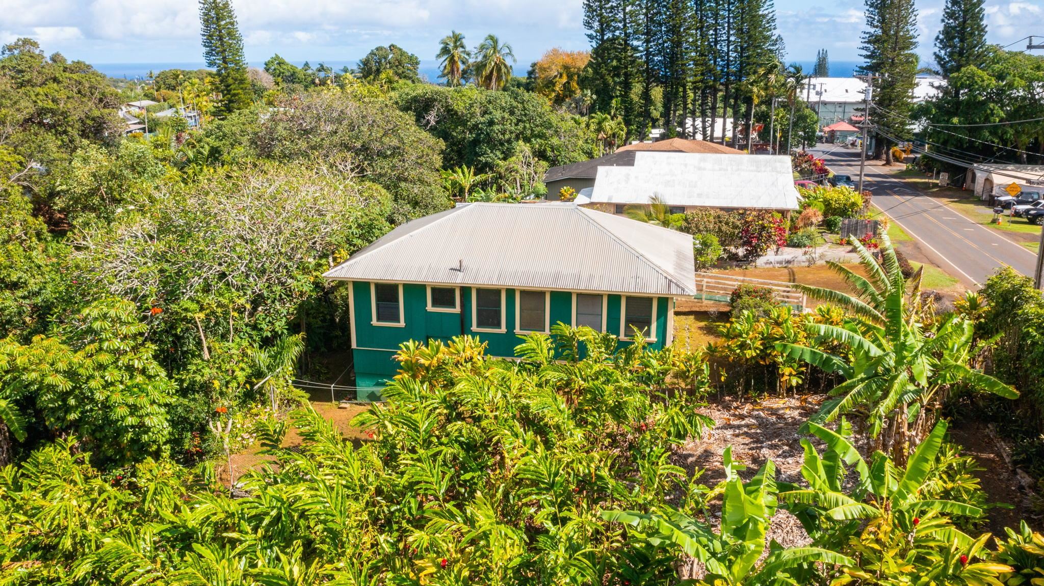 438  Kuiaha Rd Haiku, Haiku home - photo 4 of 10