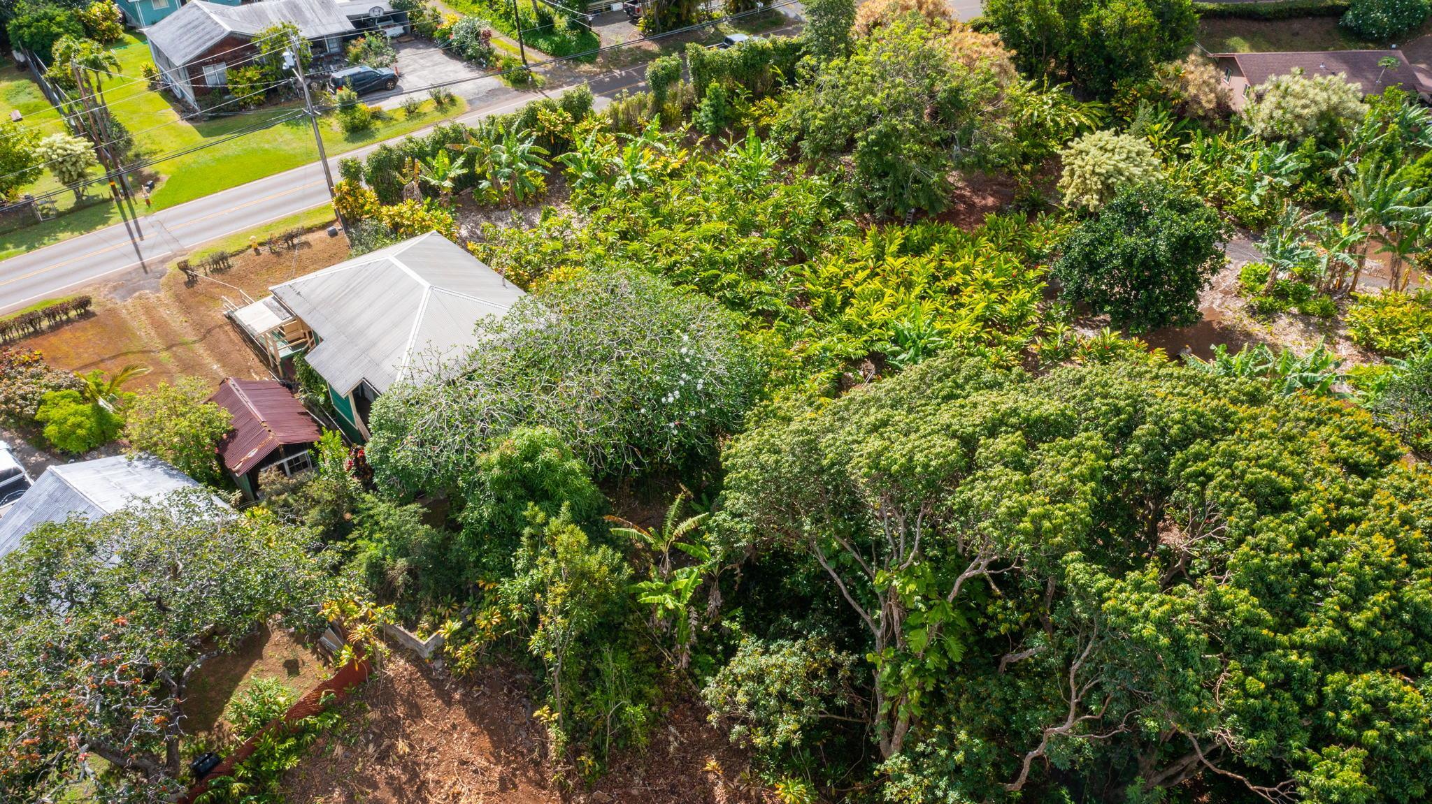 438  Kuiaha Rd Haiku, Haiku home - photo 7 of 10