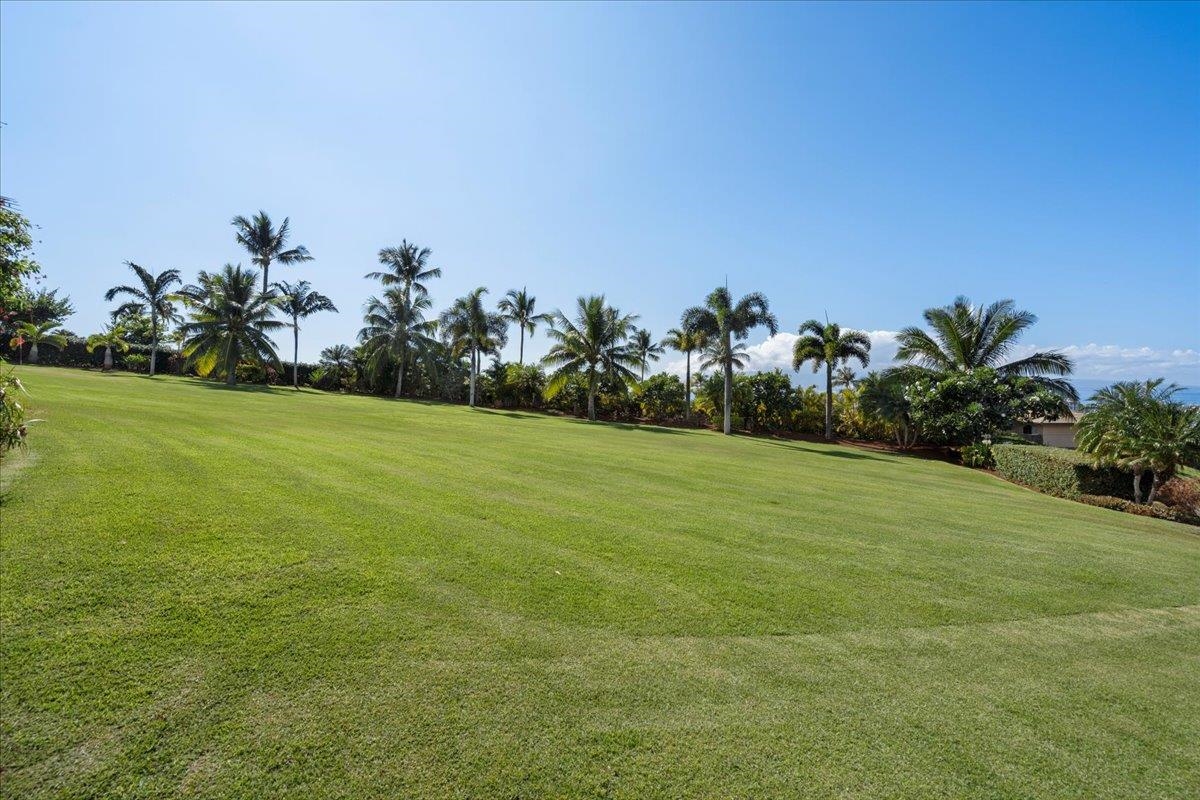 44  Anapuni Loop Kaanapali, Kaanapali home - photo 44 of 50