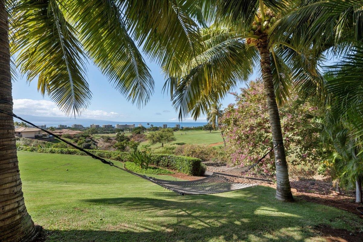 44  Anapuni Loop Kaanapali, Kaanapali home - photo 47 of 50