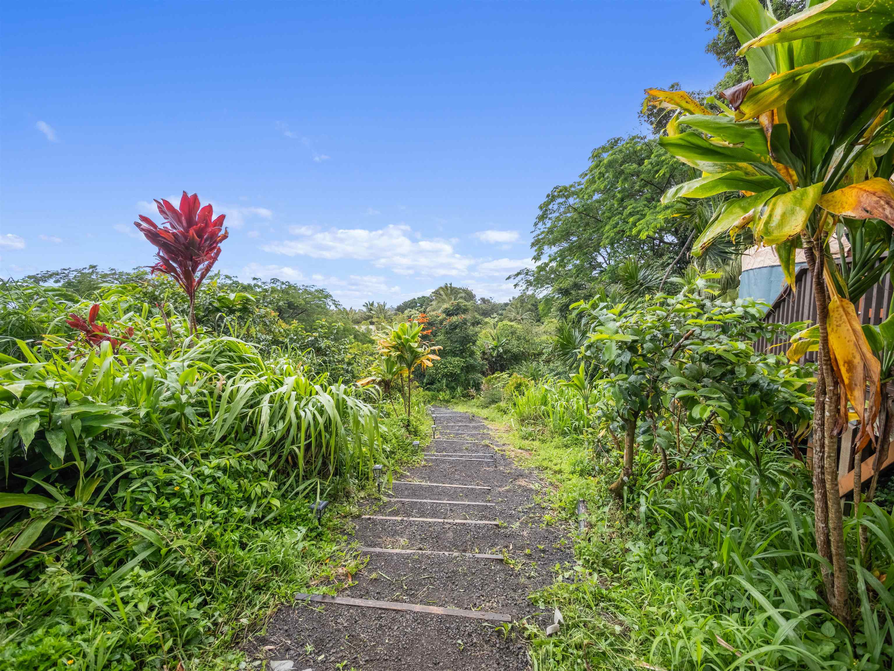 44 Hanauana Rd  Haiku, Hi vacant land for sale - photo 23 of 47