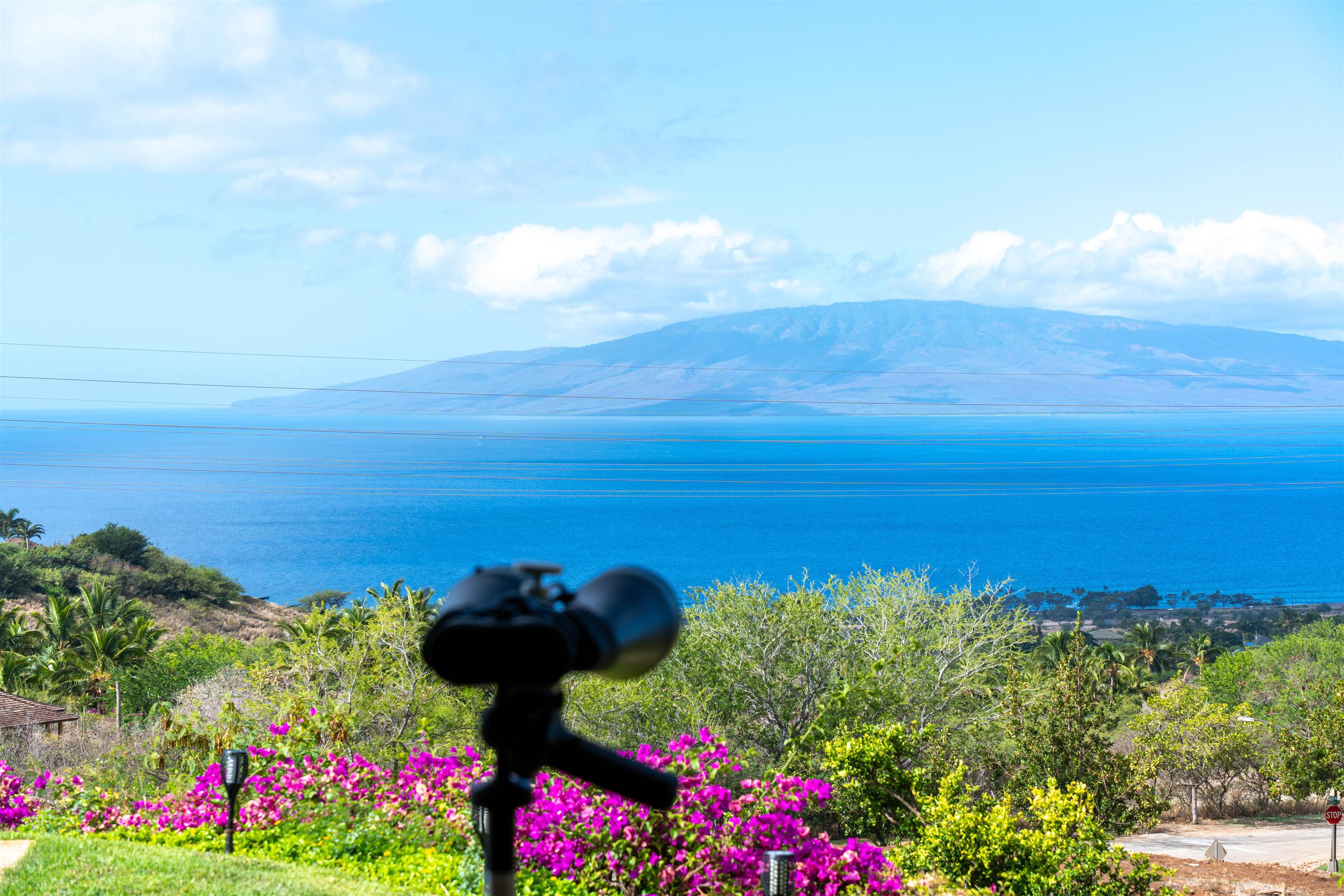 44  Iliahi Way Mahanalua Nui, Lahaina home - photo 47 of 47