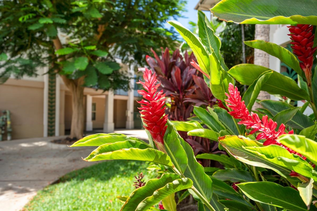 Hale Kanani condo # 2-102, Kihei, Hawaii - photo 34 of 42