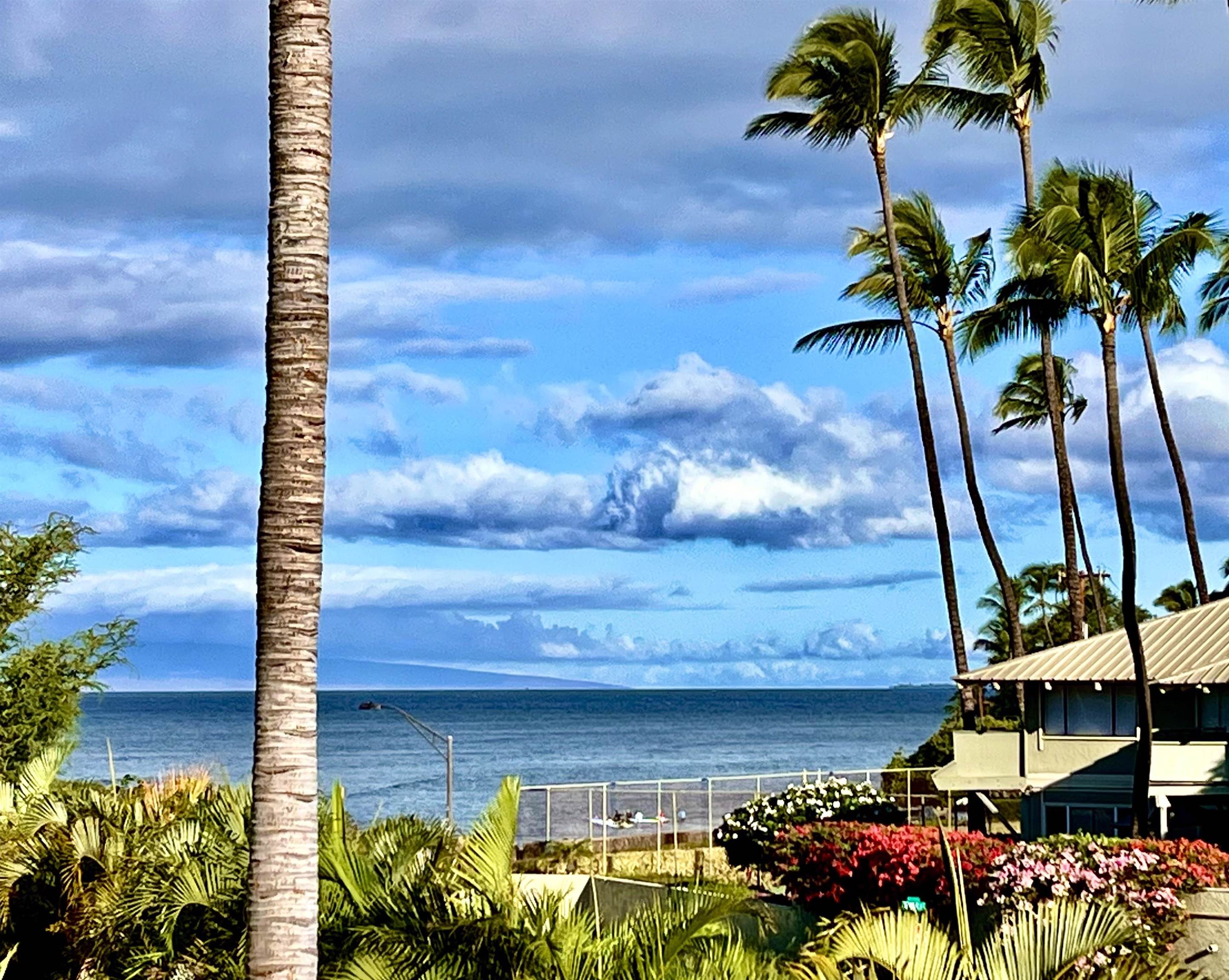 Hale Kanani condo # 2-202, Kihei, Hawaii - photo 28 of 44