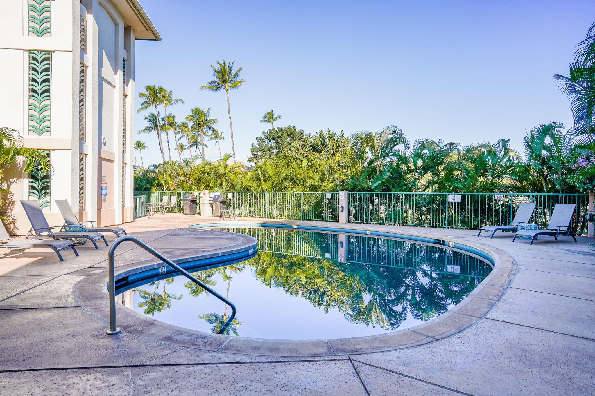 Hale Kanani condo # 2-202, Kihei, Hawaii - photo 34 of 44