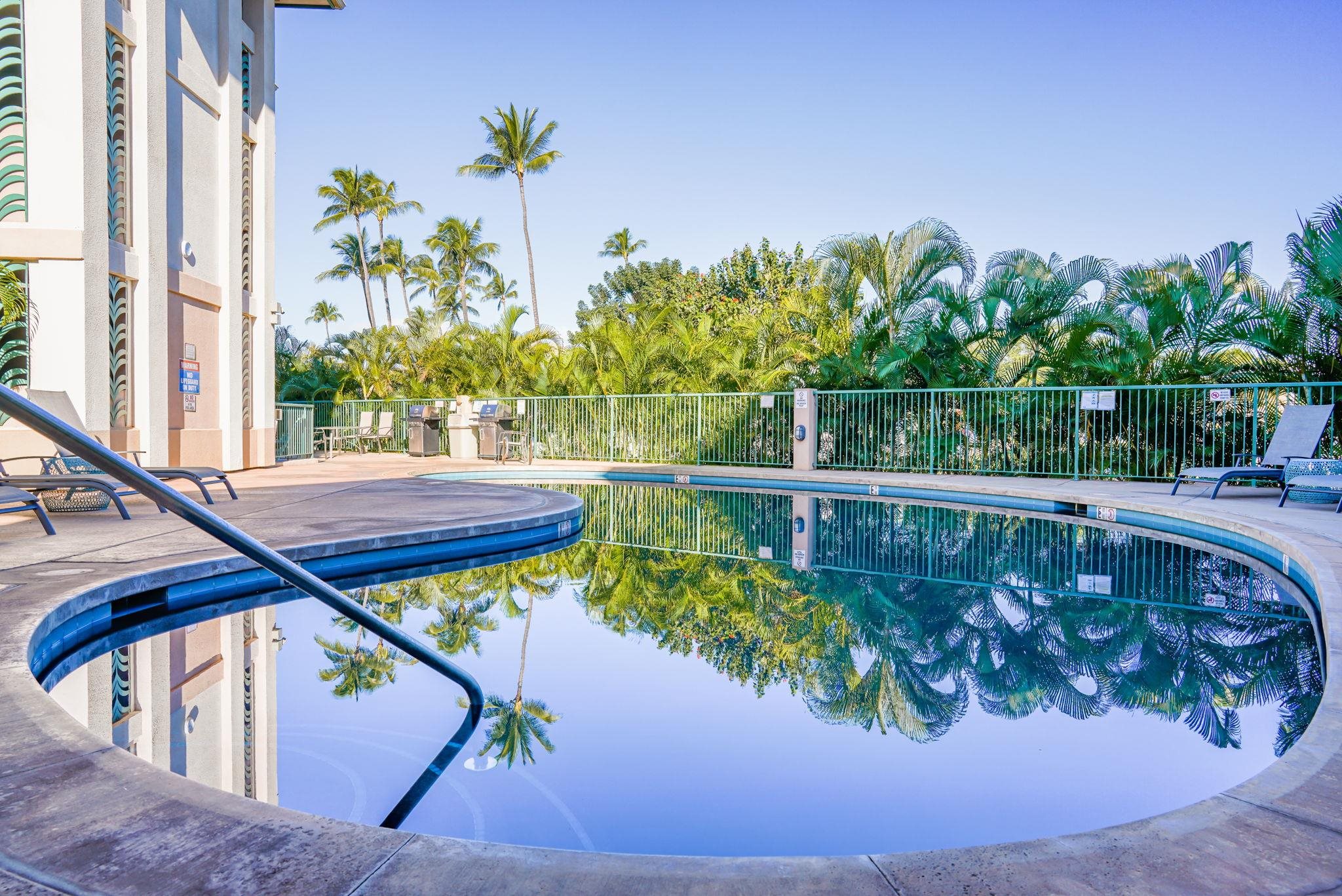 Hale Kanani condo # 2-202, Kihei, Hawaii - photo 36 of 44