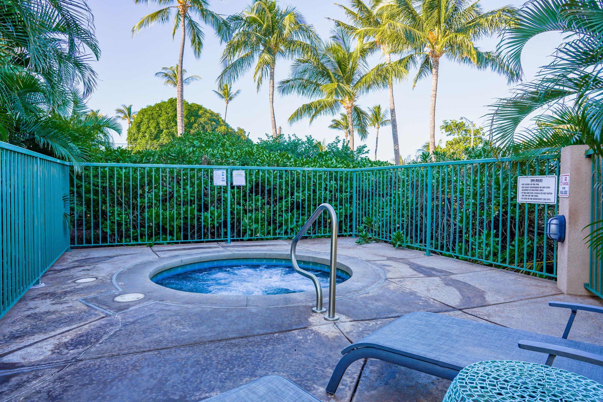 Hale Kanani condo # 2-202, Kihei, Hawaii - photo 43 of 44