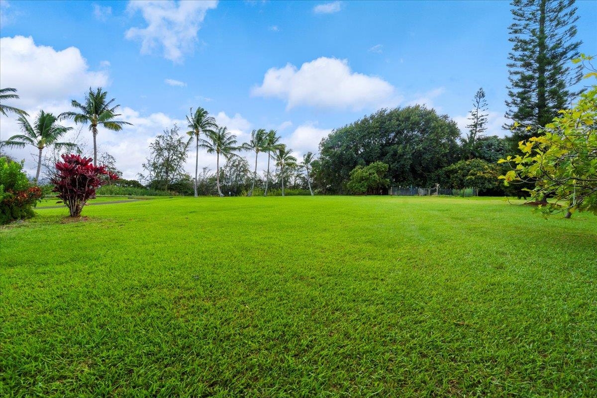 44  Kaupakalua Rd , Haiku home - photo 33 of 48