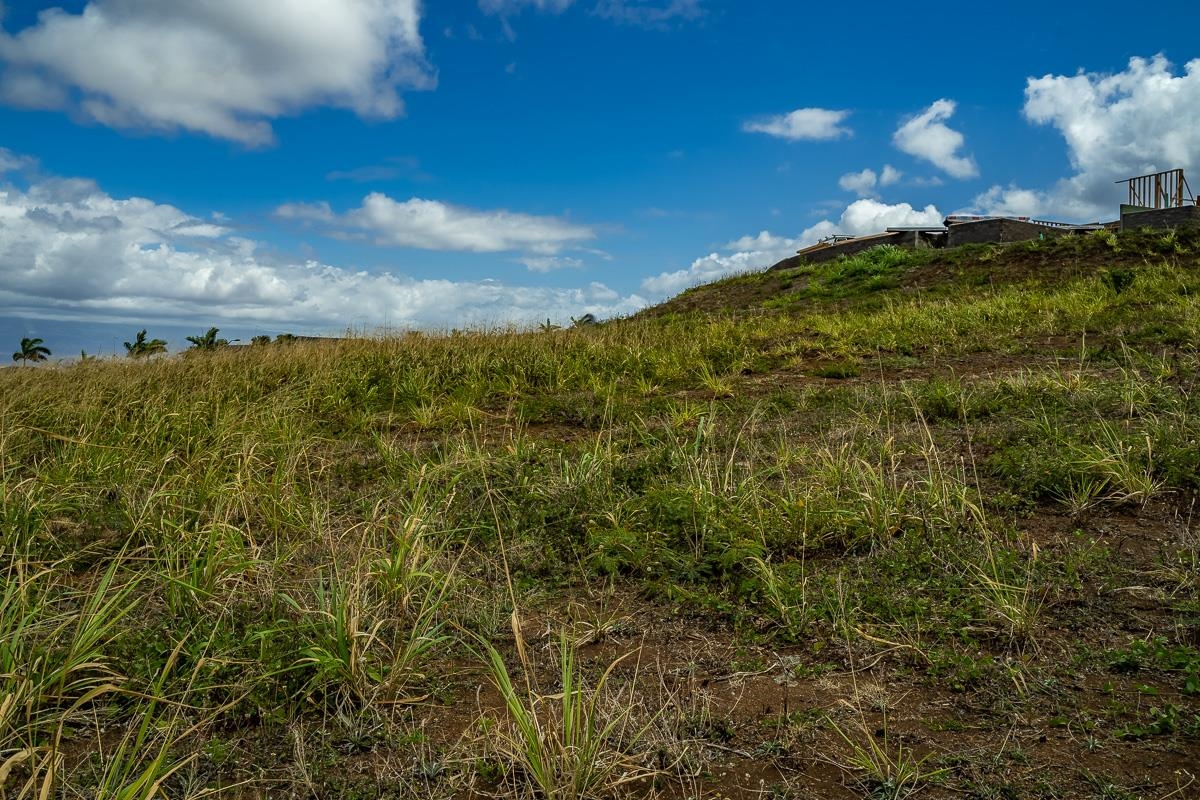 44 La'ikeha Pl 19 Wailuku, Hi vacant land for sale - photo 9 of 15