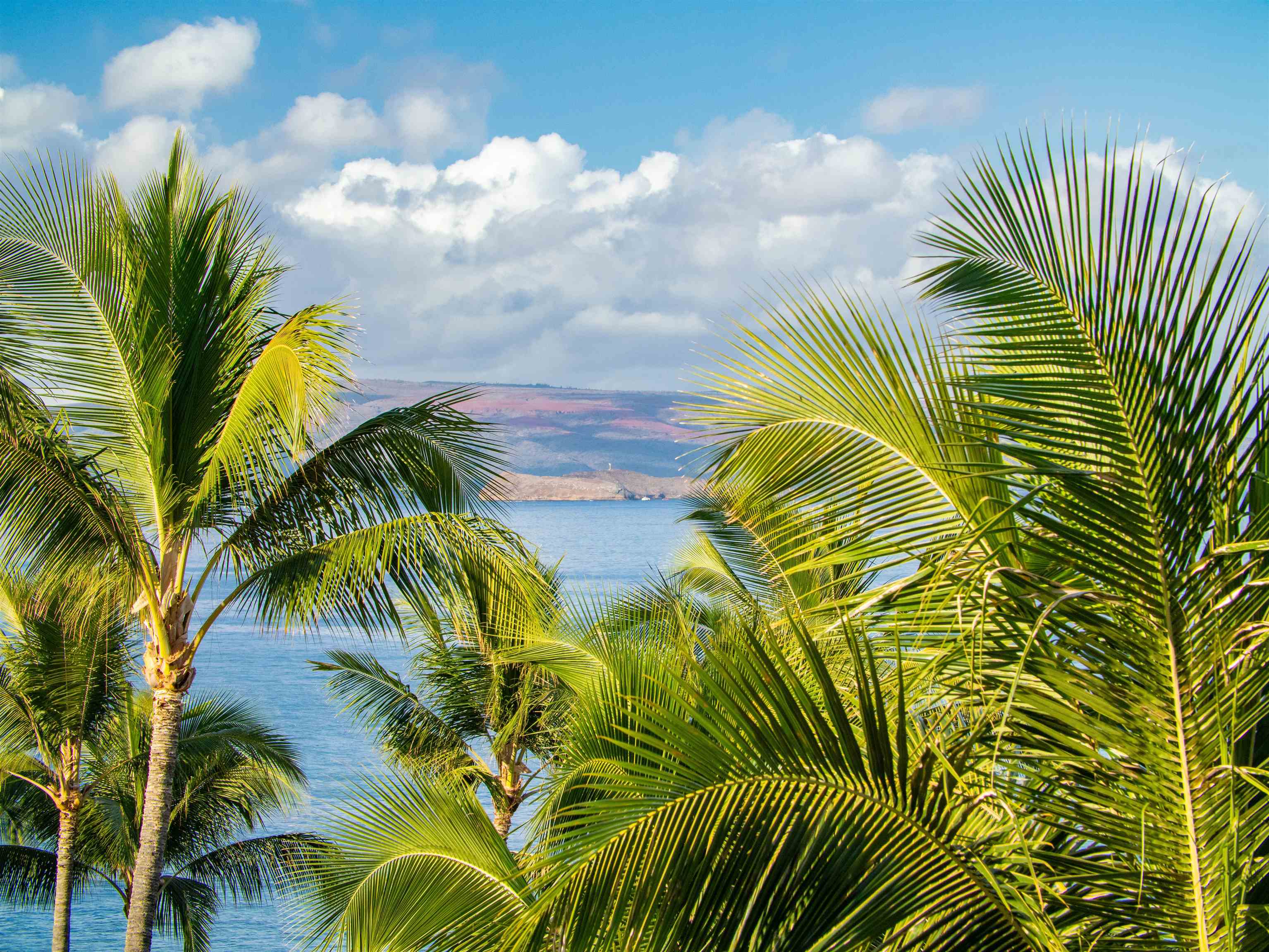 Polo Beach Club condo # 604, Kihei, Hawaii - photo 46 of 50