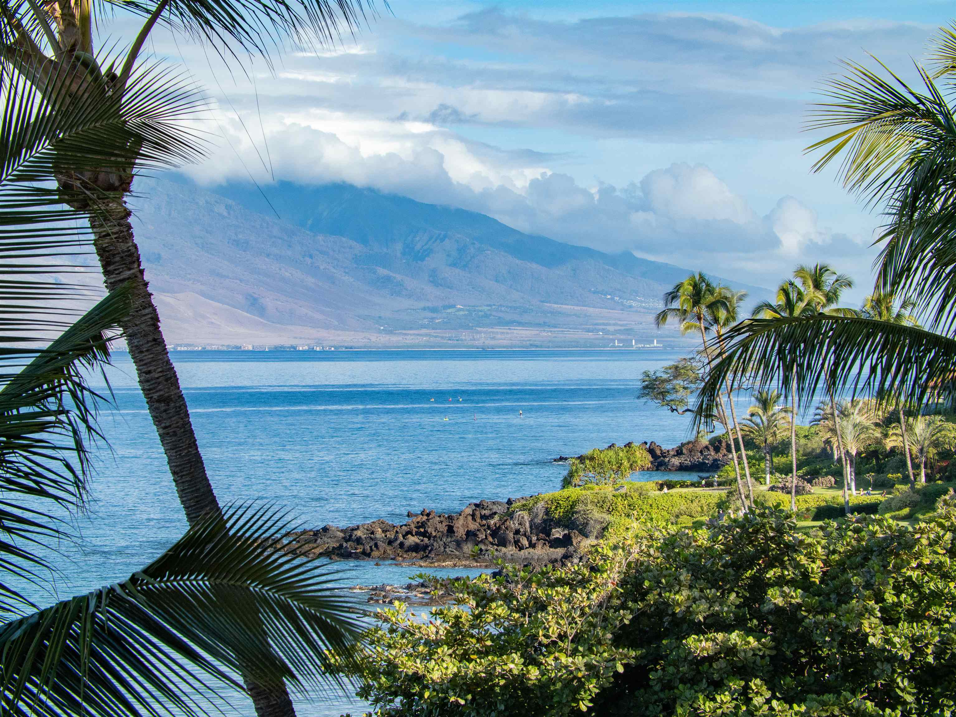 Polo Beach Club condo # 604, Kihei, Hawaii - photo 47 of 50