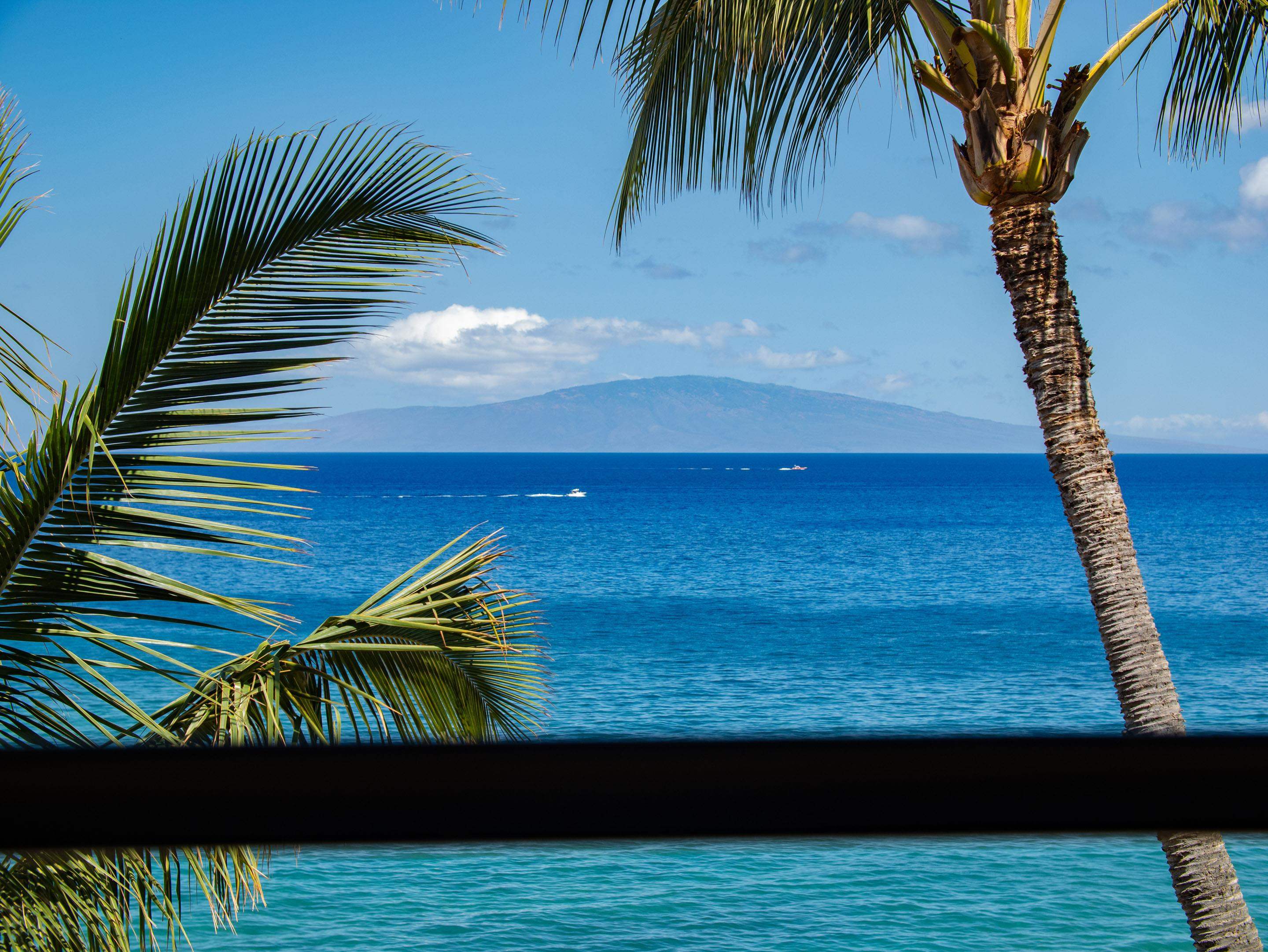 Polo Beach Club condo # 605, Kihei, Hawaii - photo 43 of 48