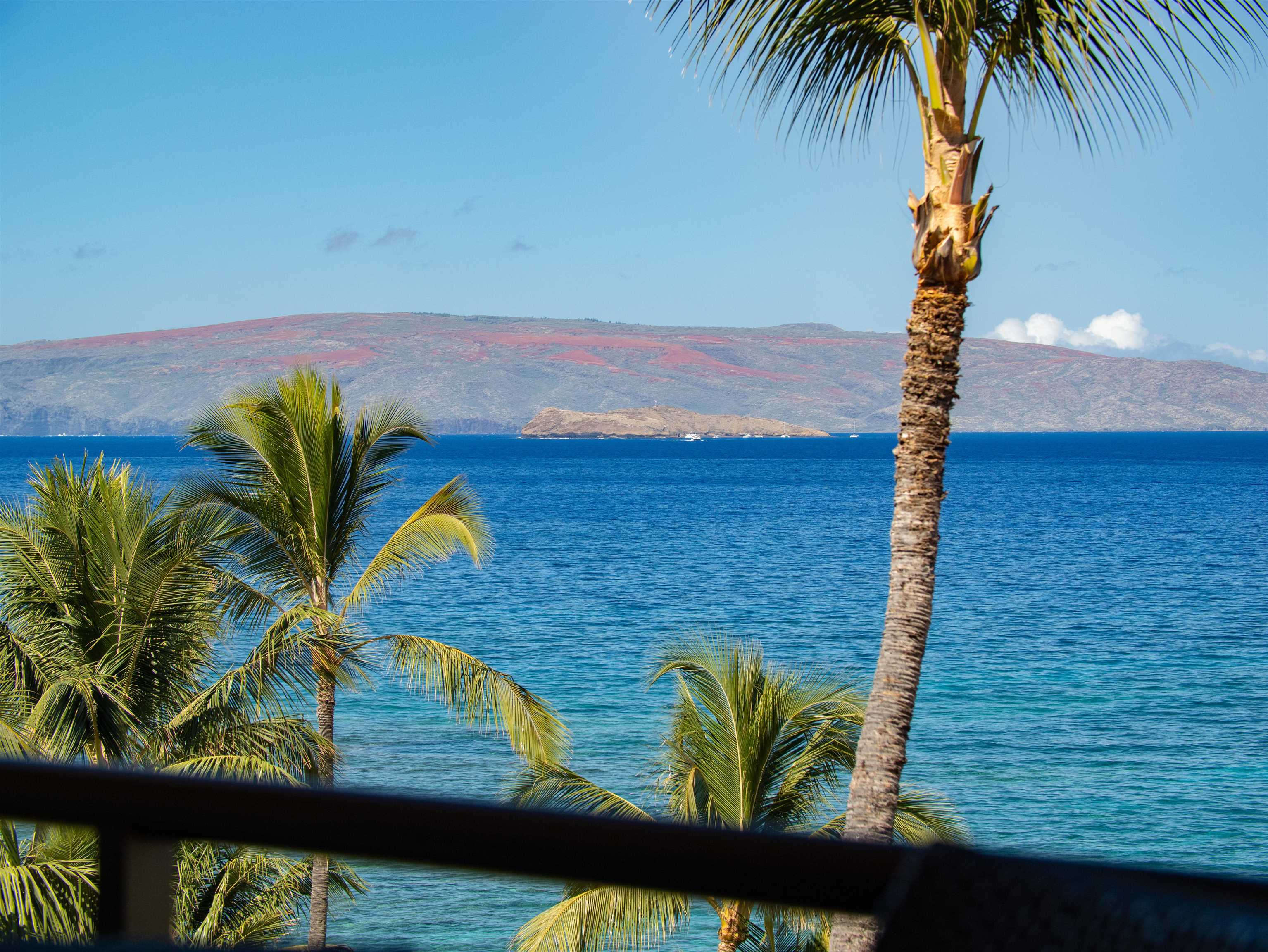 Polo Beach Club condo # 605, Kihei, Hawaii - photo 35 of 45