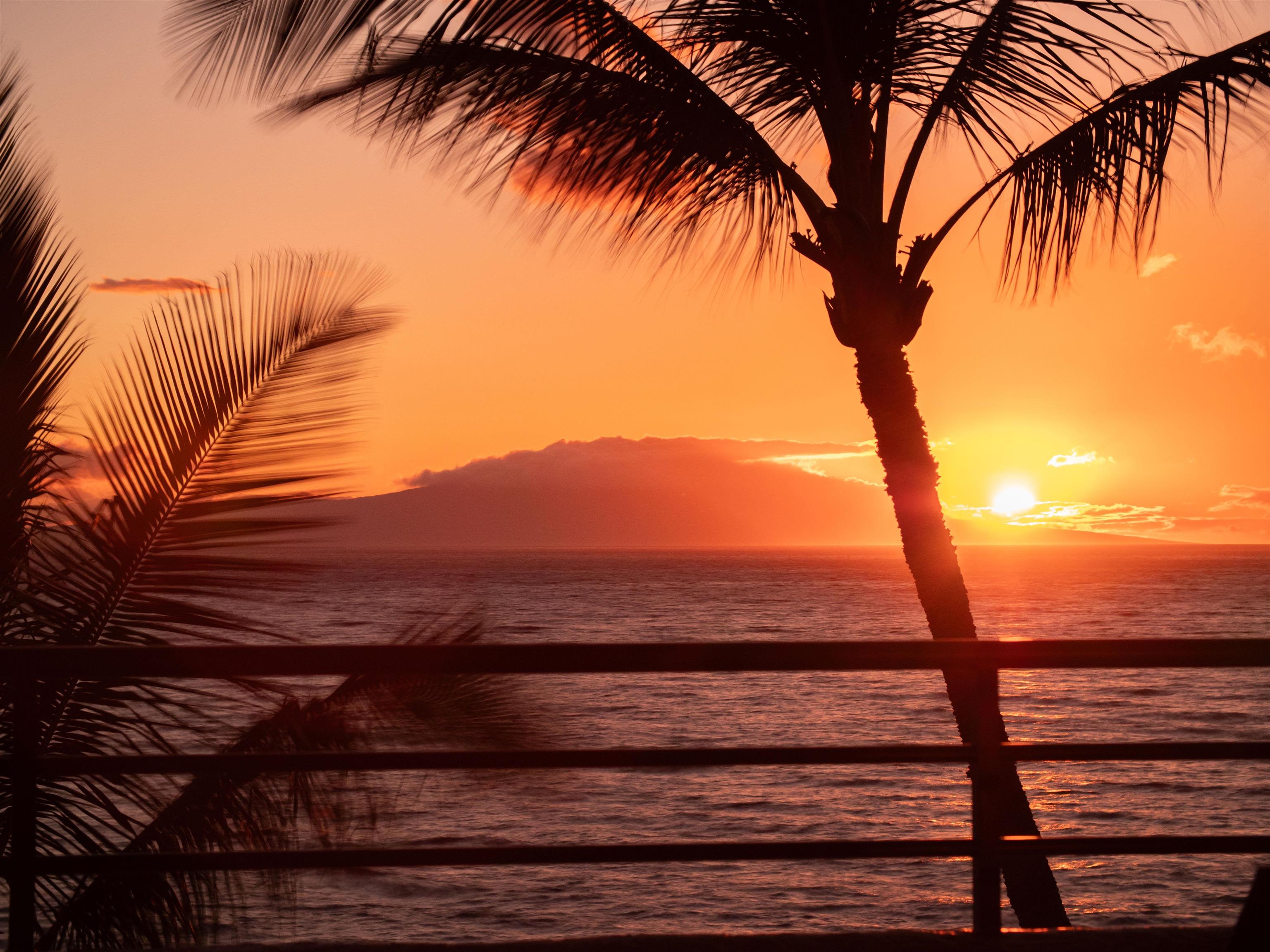 Polo Beach Club condo # 605, Kihei, Hawaii - photo 39 of 45