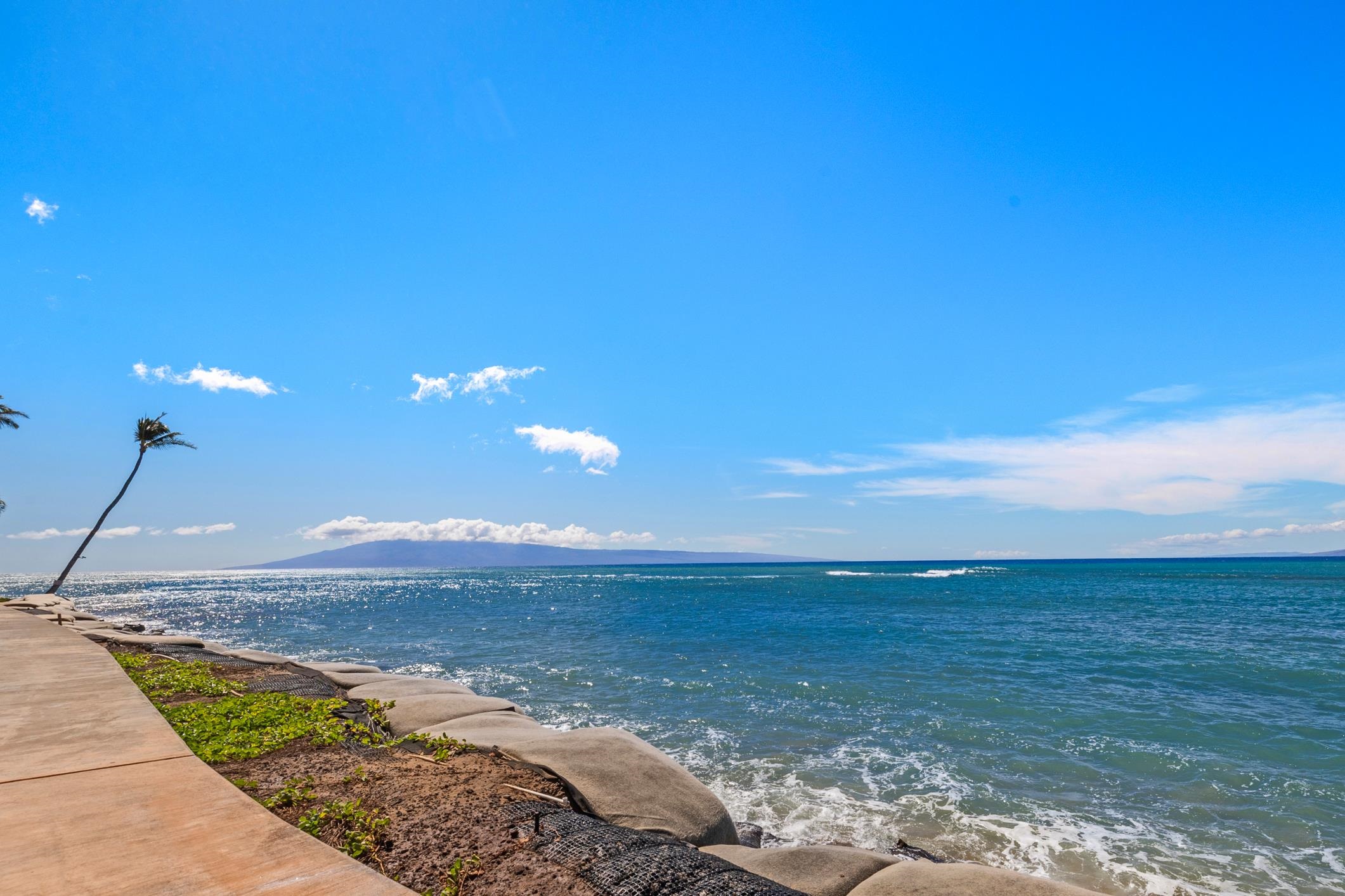 Hololani condo # A-103, Lahaina, Hawaii - photo 21 of 45