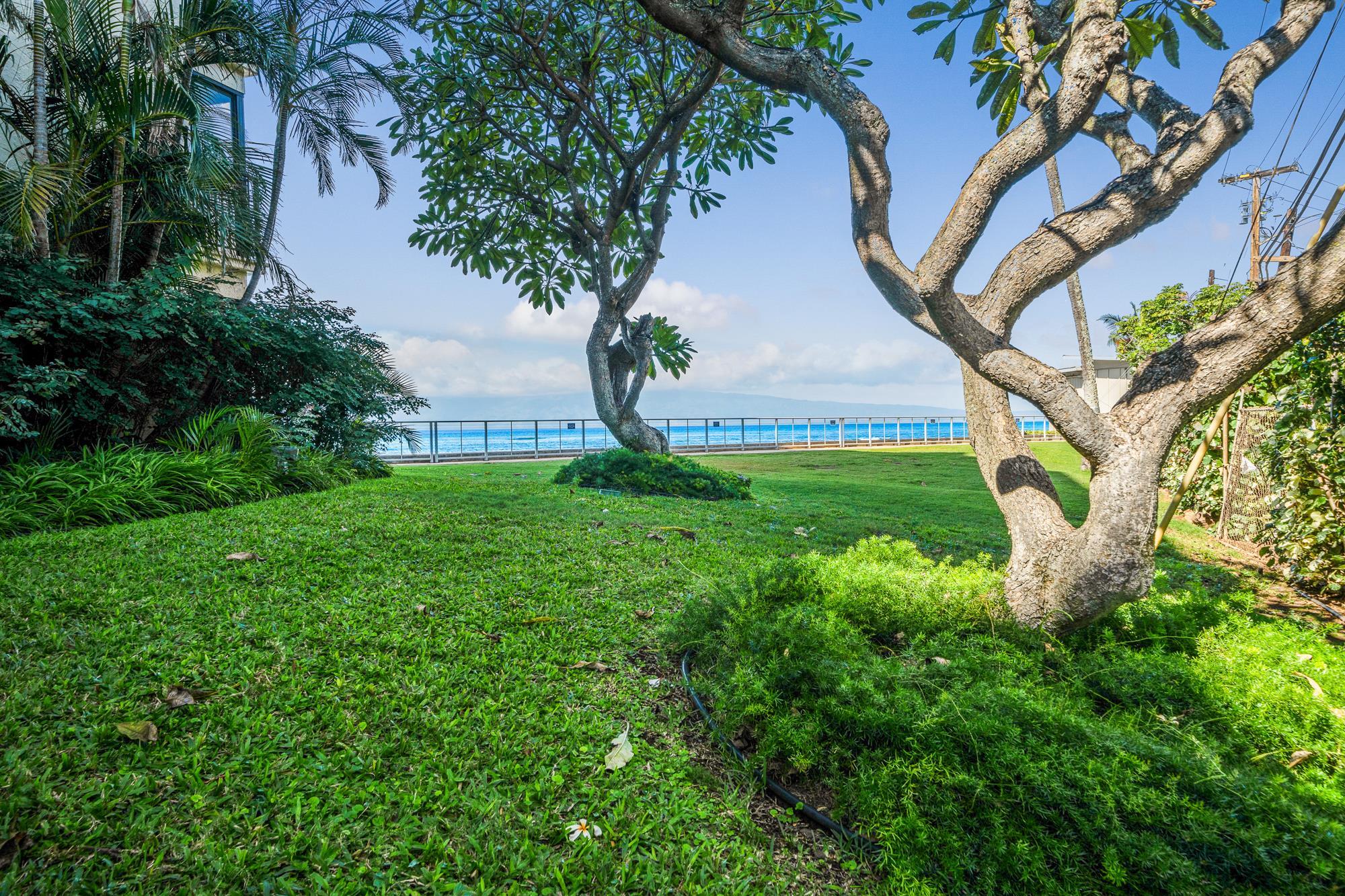 Hololani condo # A502, Lahaina, Hawaii - photo 29 of 39
