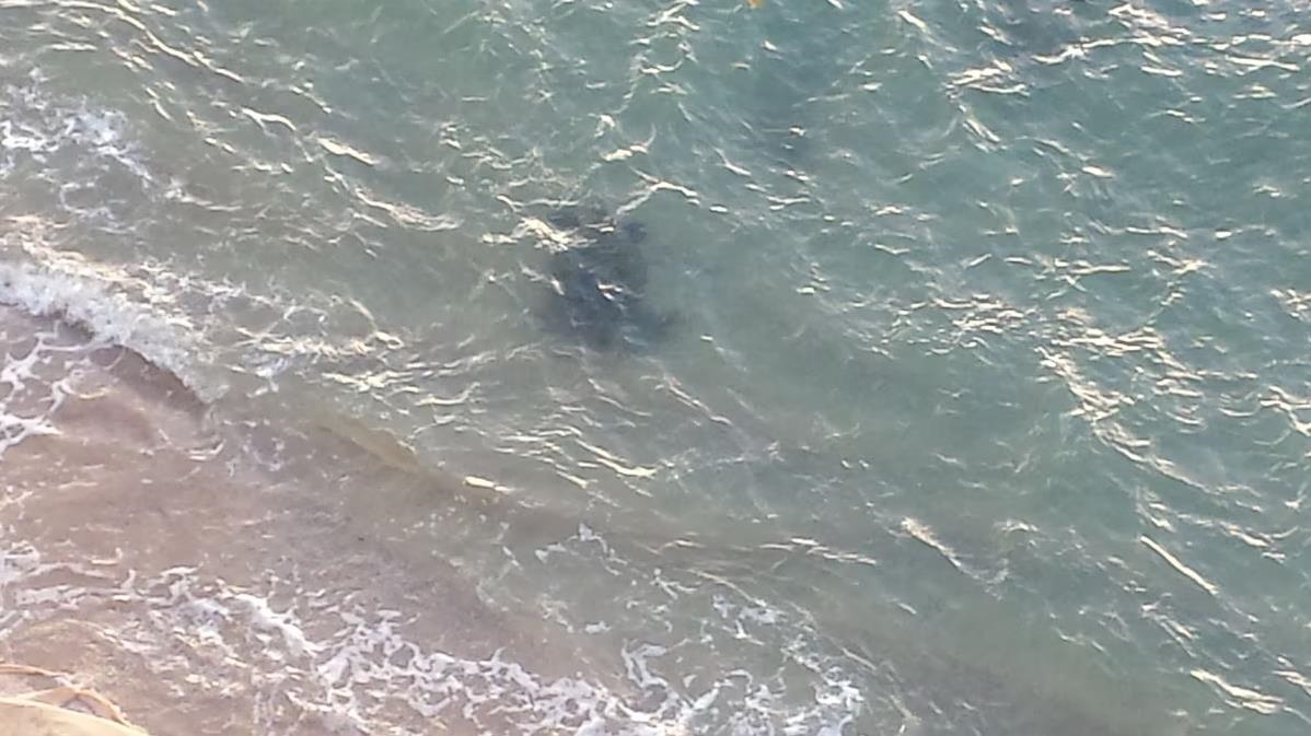 Hololani condo # A604, Lahaina, Hawaii - photo 45 of 50