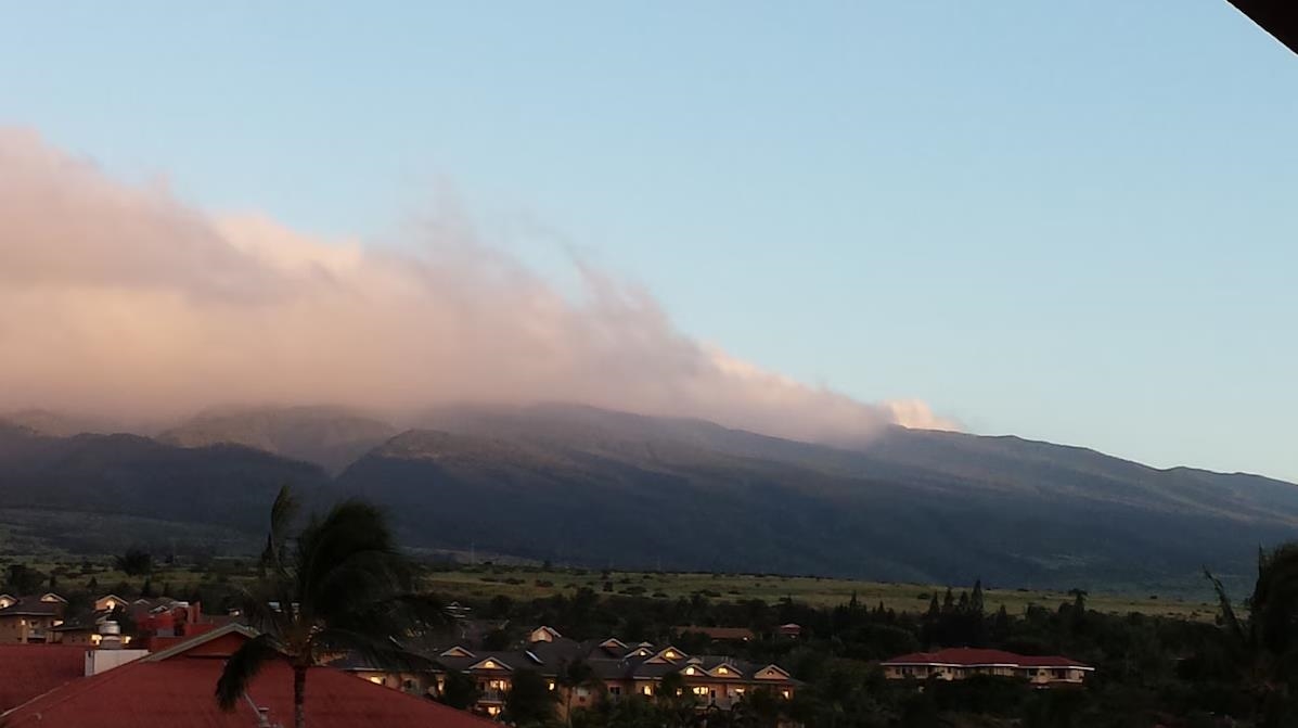 Hololani condo # A604, Lahaina, Hawaii - photo 46 of 50