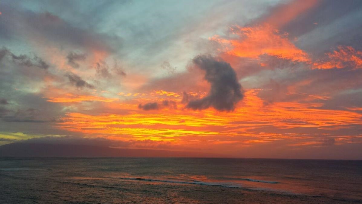 Hololani condo # A604, Lahaina, Hawaii - photo 48 of 50