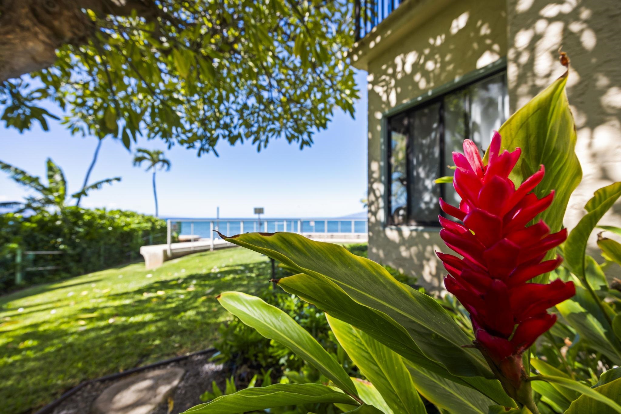 Hololani condo # B 701, Lahaina, Hawaii - photo 48 of 50