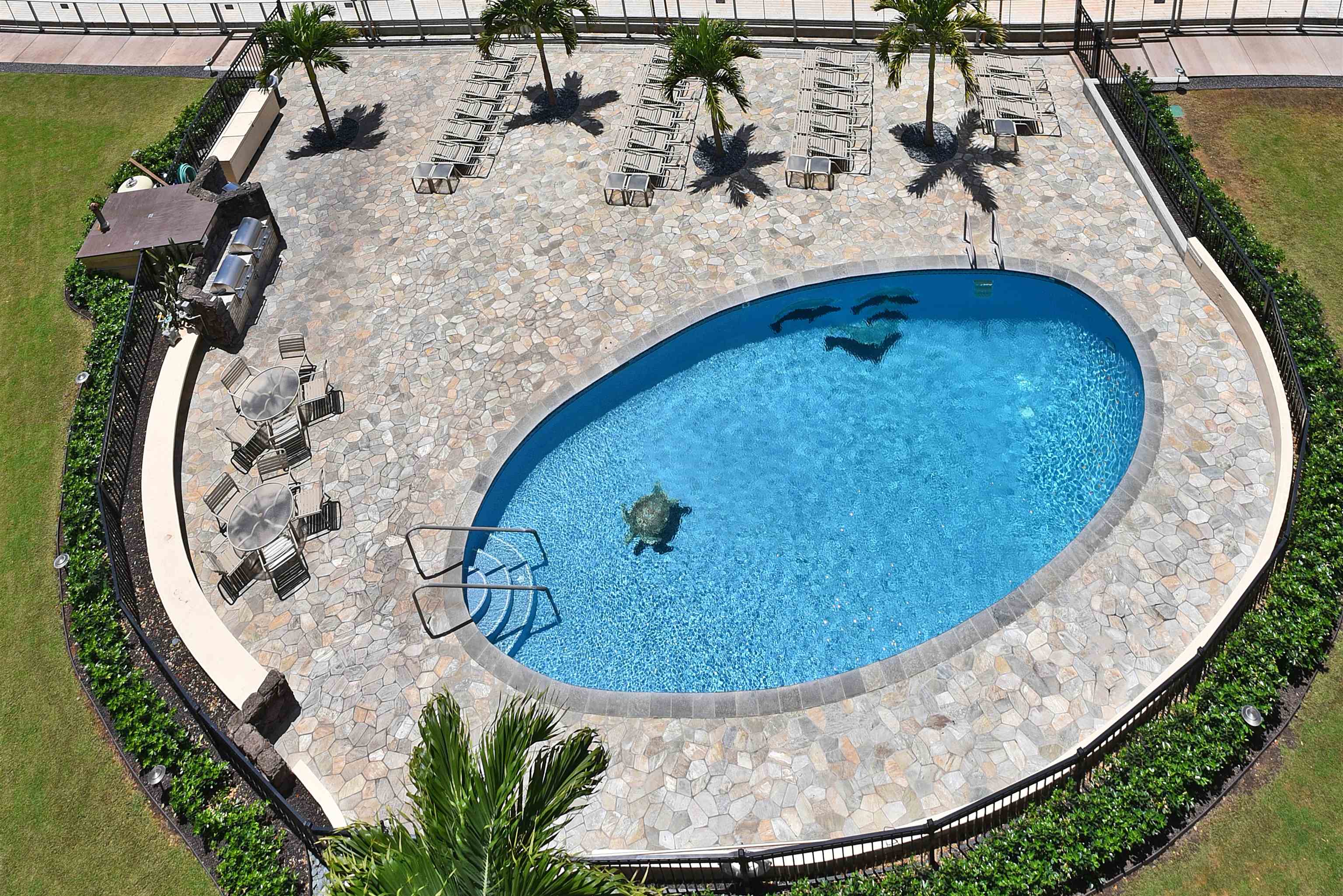 Hololani condo # B801, Lahaina, Hawaii - photo 23 of 32