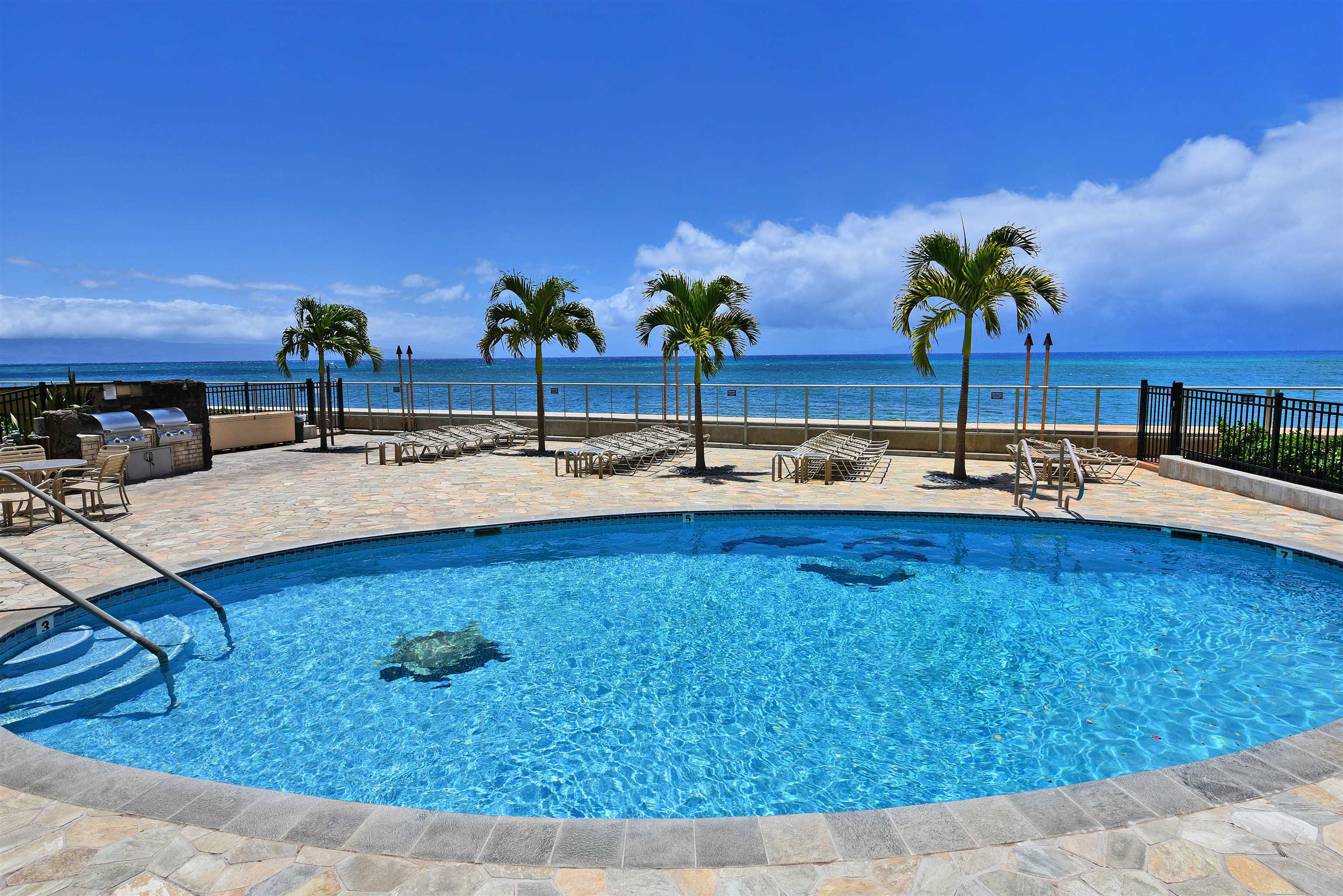 Hololani condo # B801, Lahaina, Hawaii - photo 28 of 32