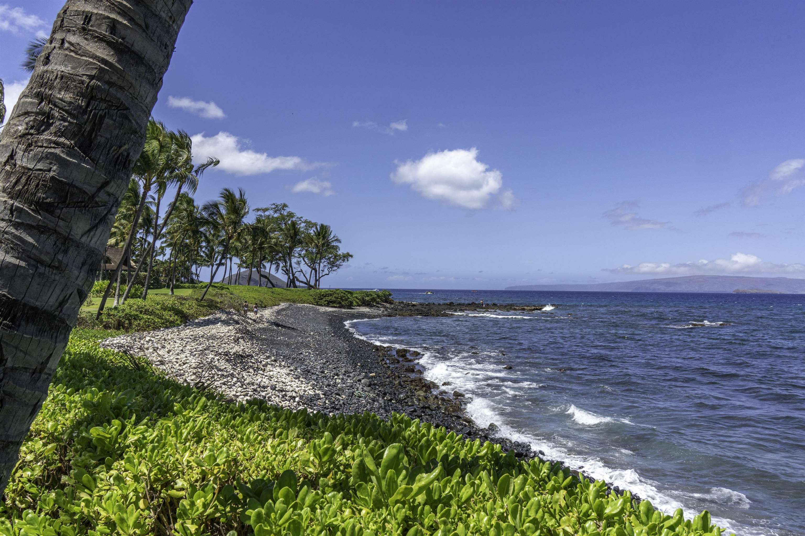 4406  Makena Rd , Wailea/Makena home - photo 16 of 50